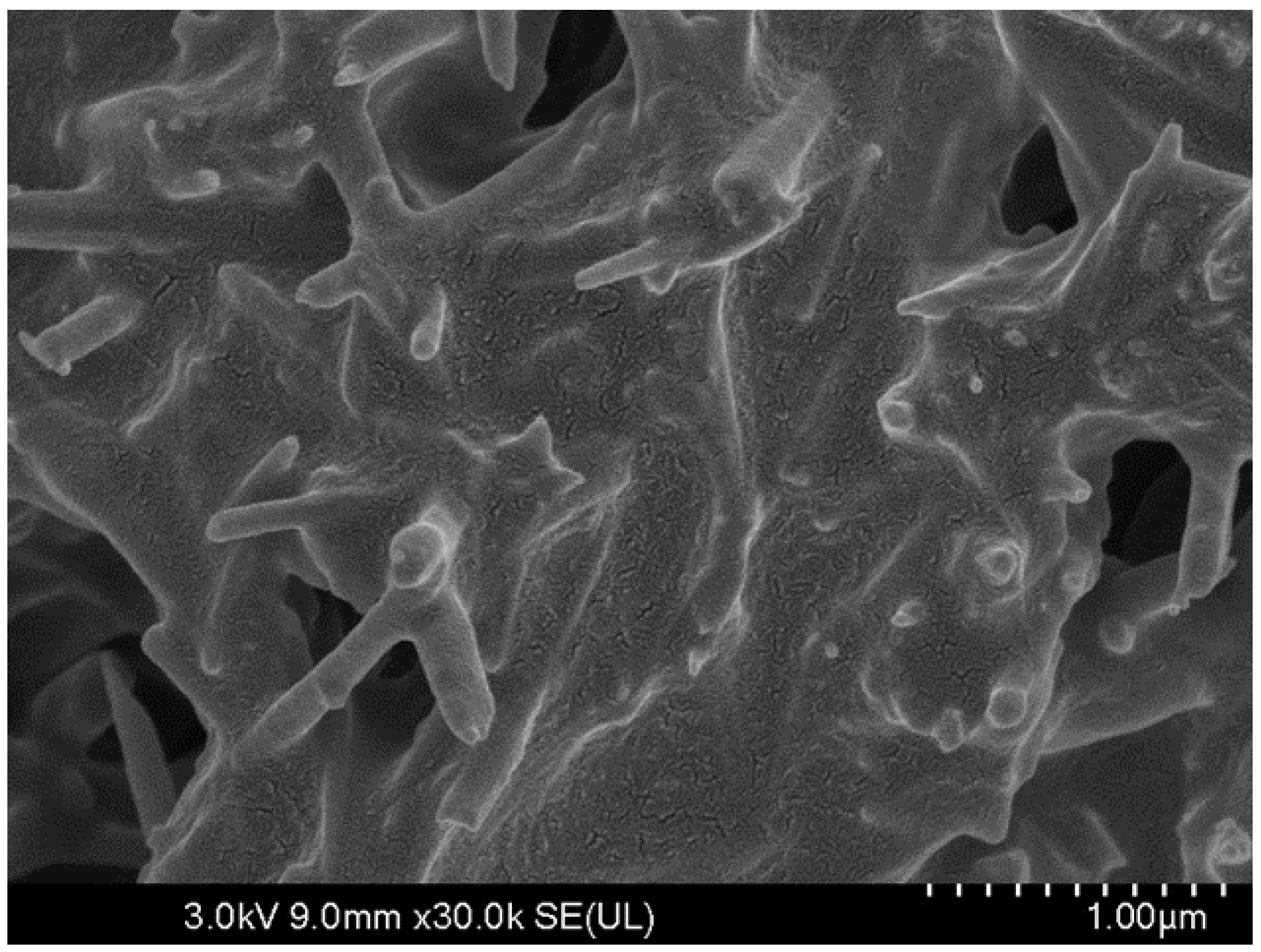 Polymers 15 04462 g003