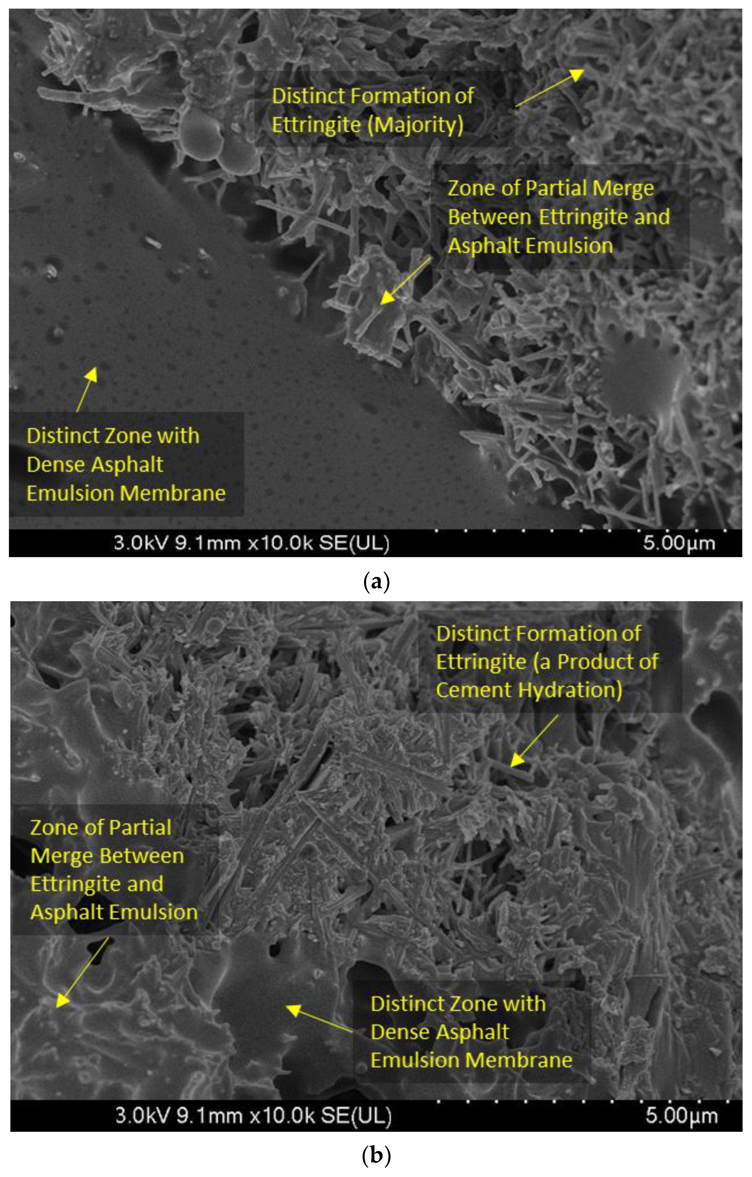 Polymers 15 04462 g013a