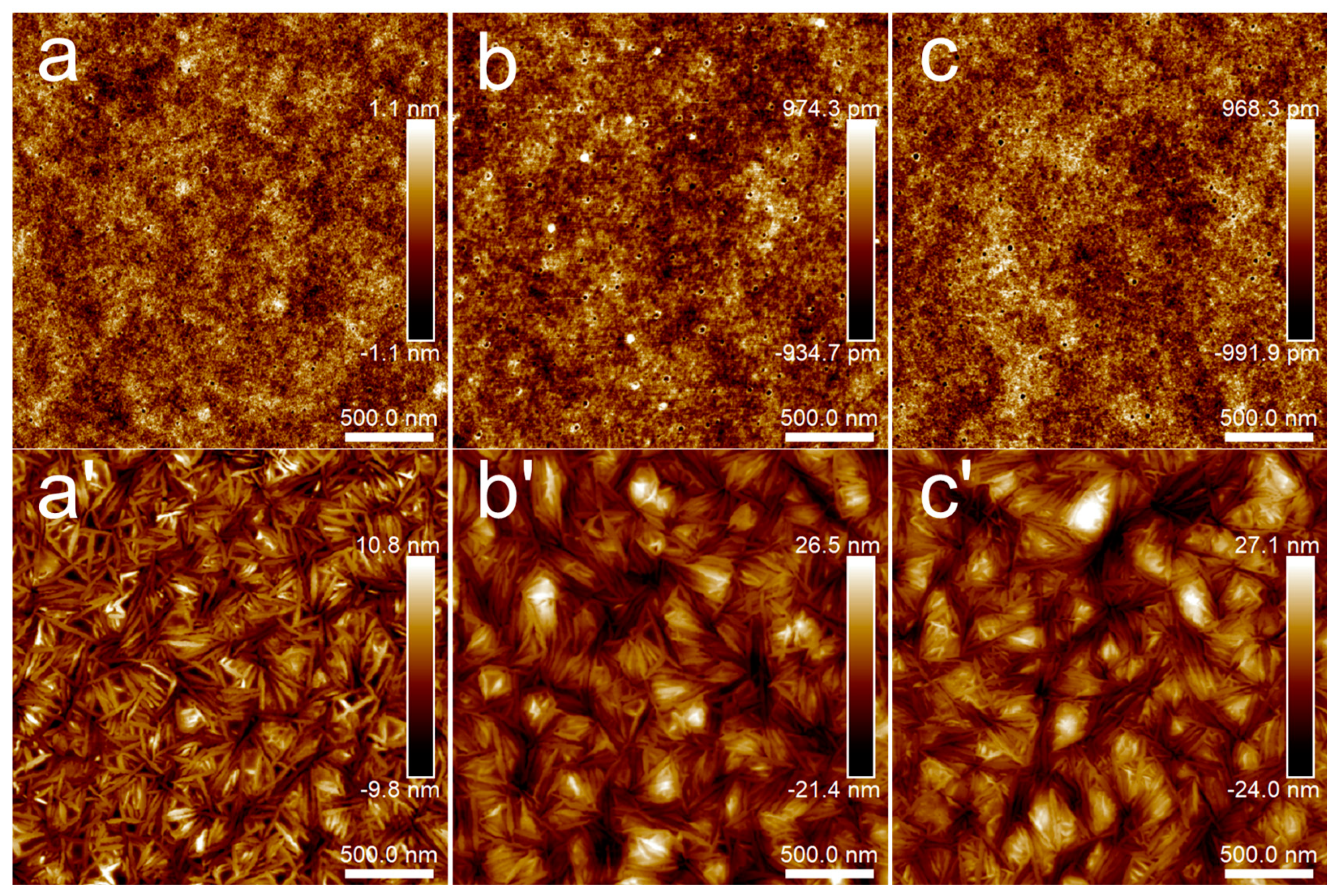 Polymers 15 04463 g003