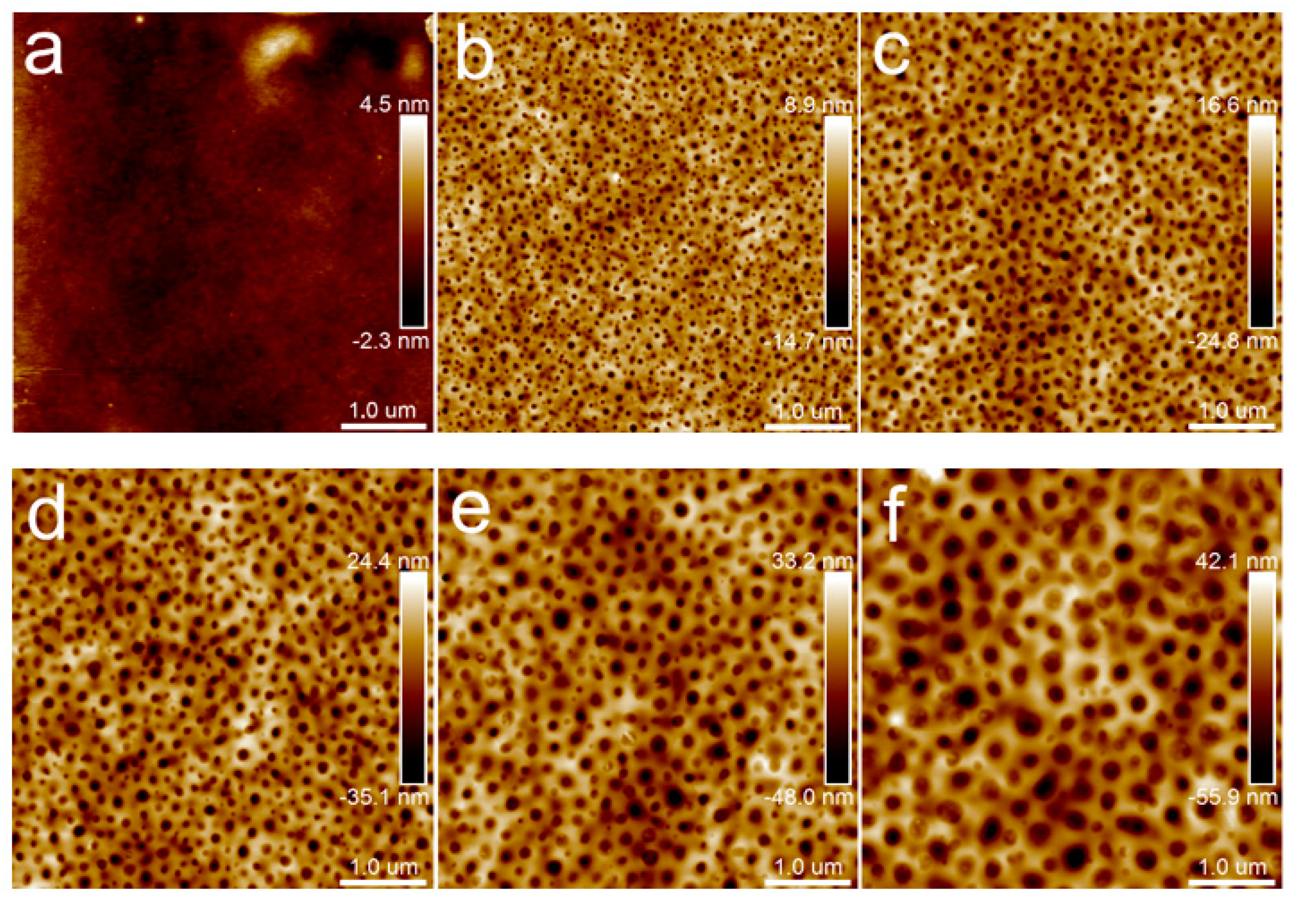 Polymers 15 04463 g004