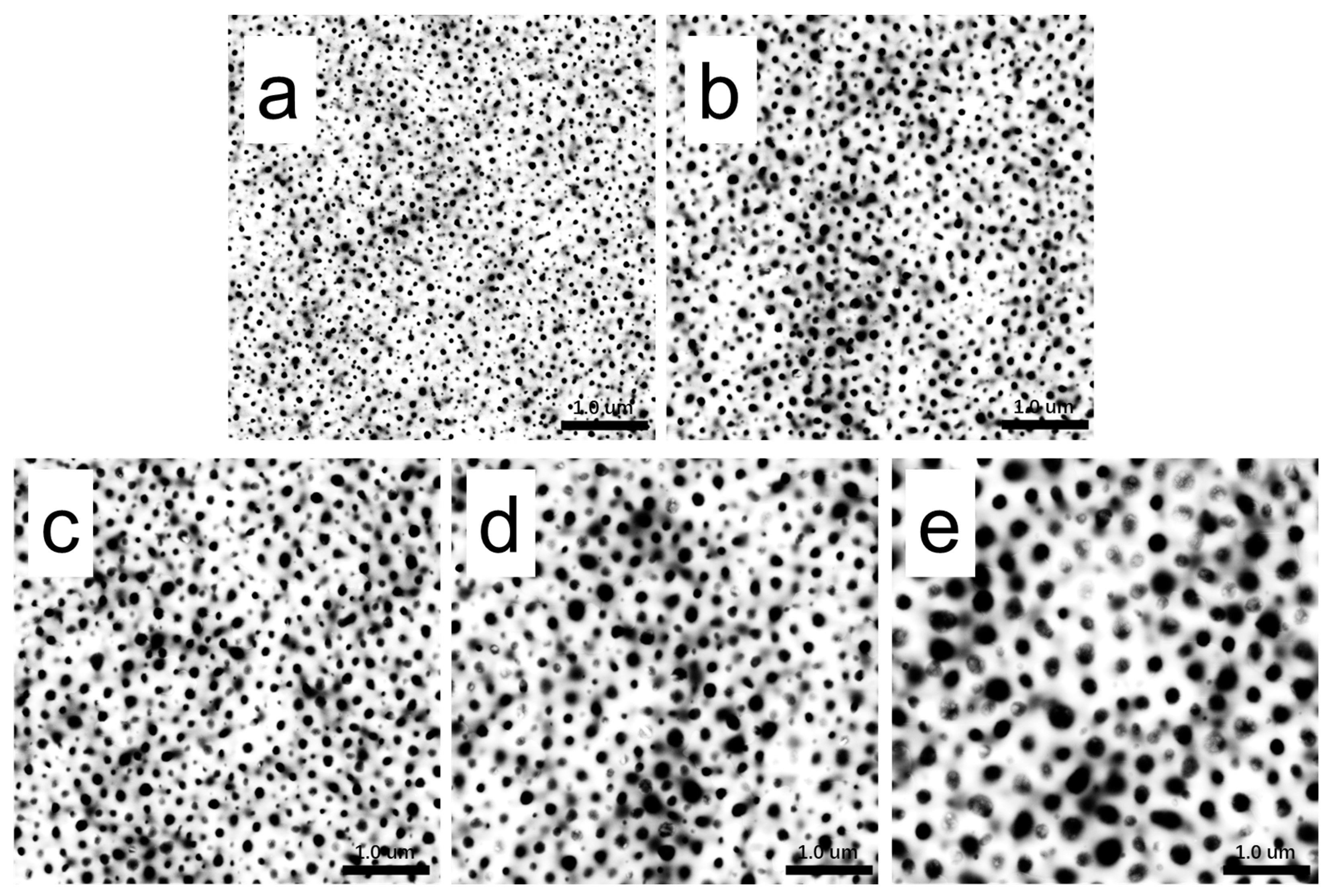 Polymers 15 04463 g006