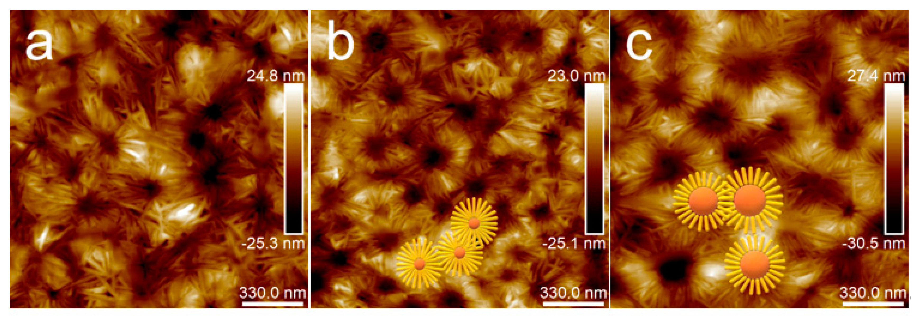 Polymers 15 04463 g011