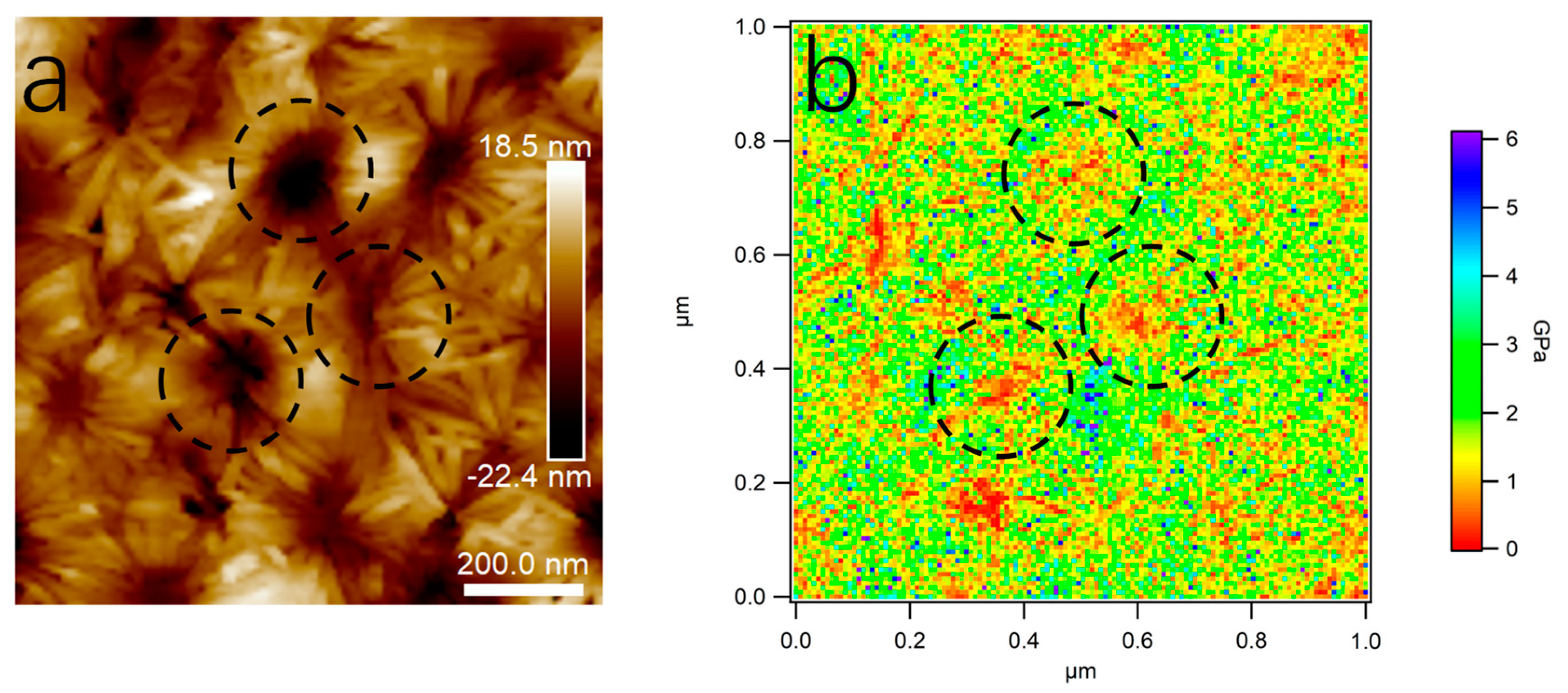 Polymers 15 04463 g014