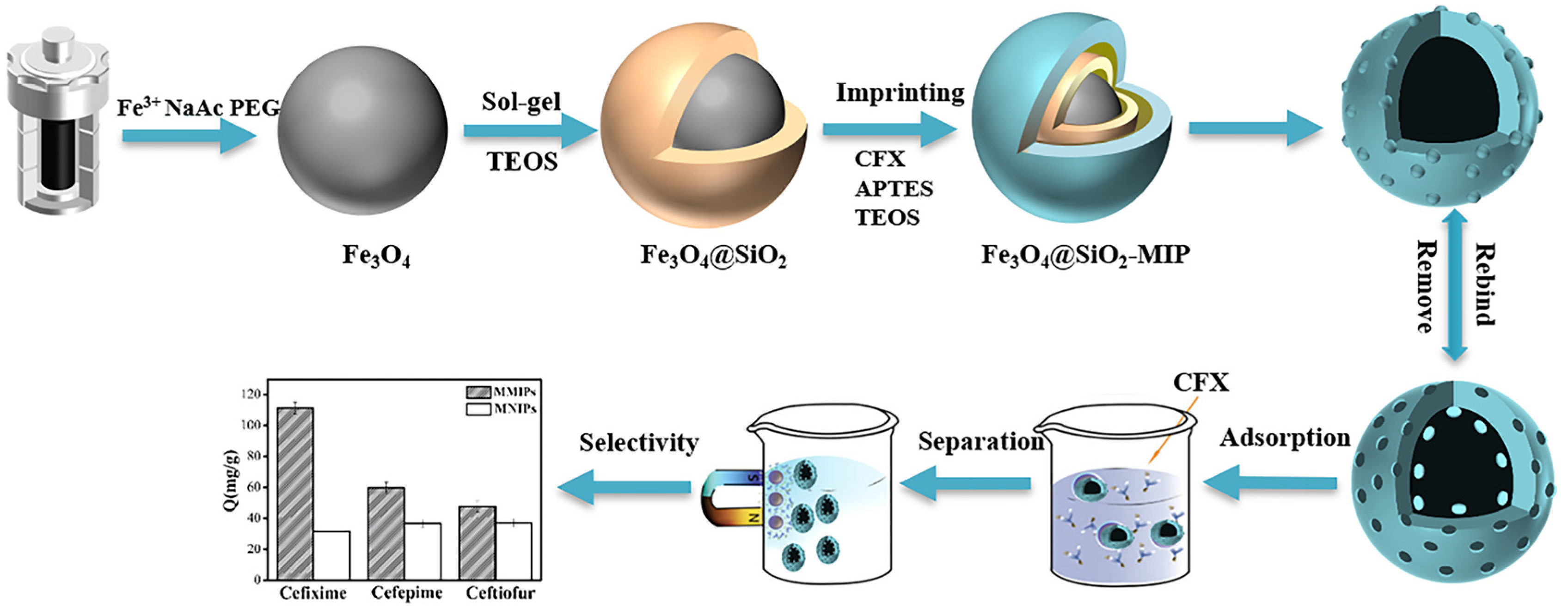 Polymers 15 04464 g001