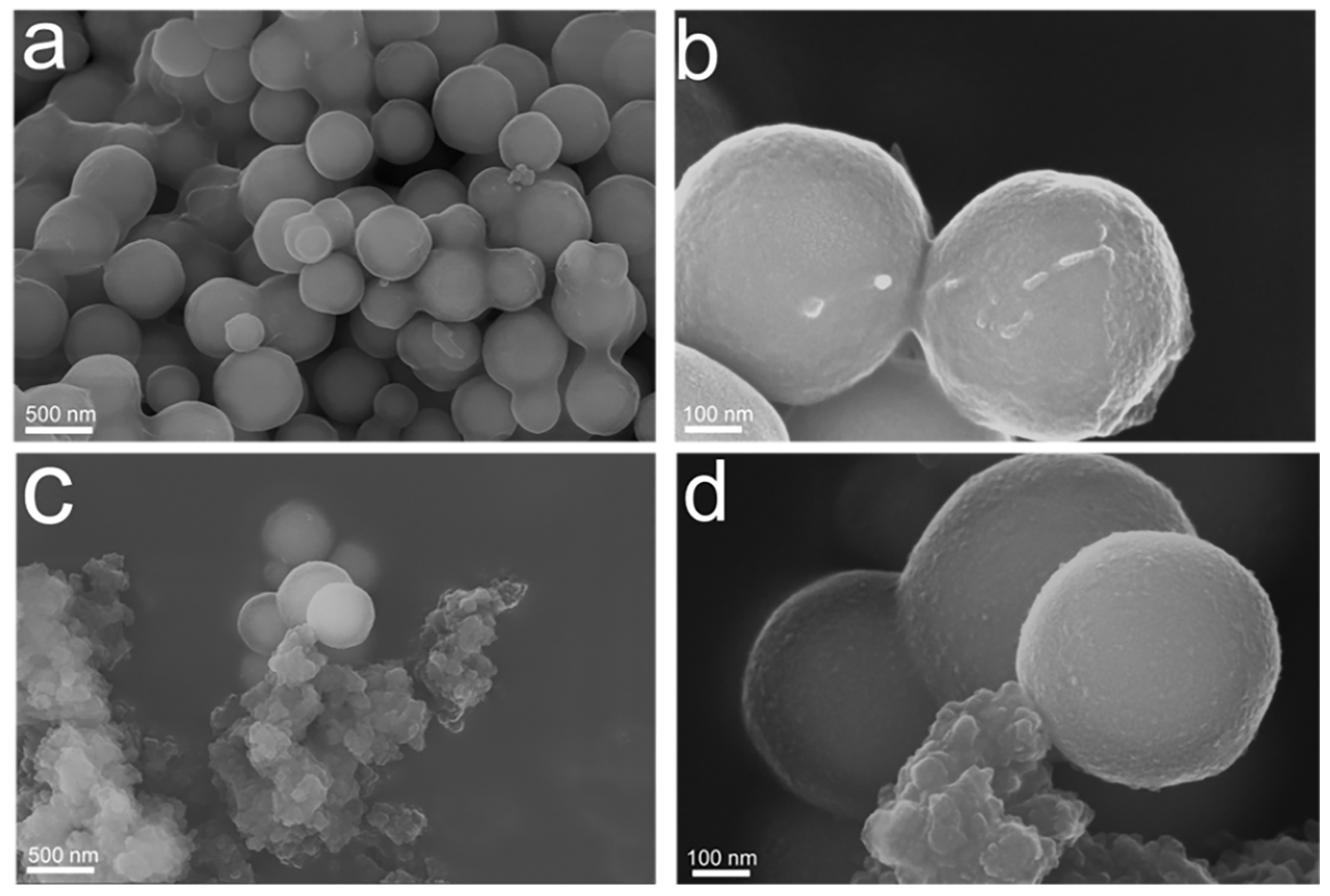 Polymers 15 04464 g007