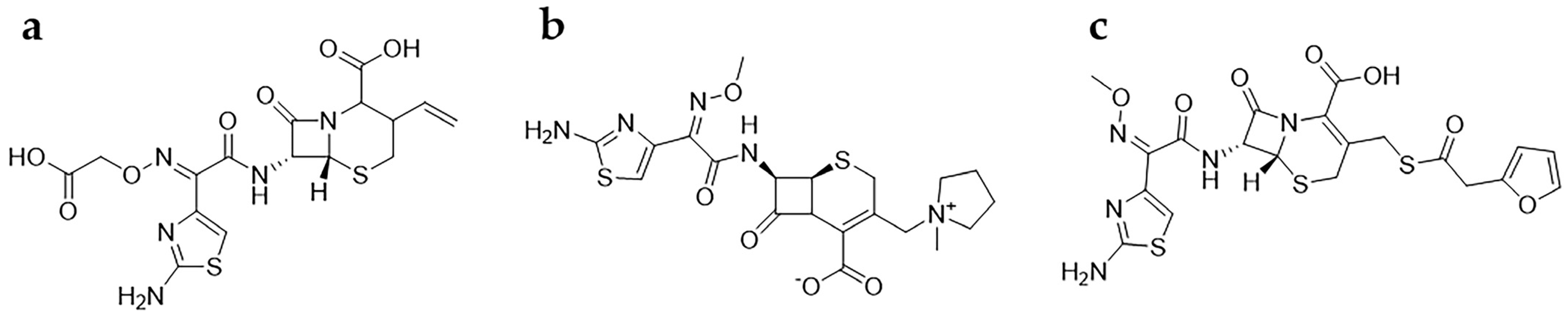 Polymers 15 04464 g010
