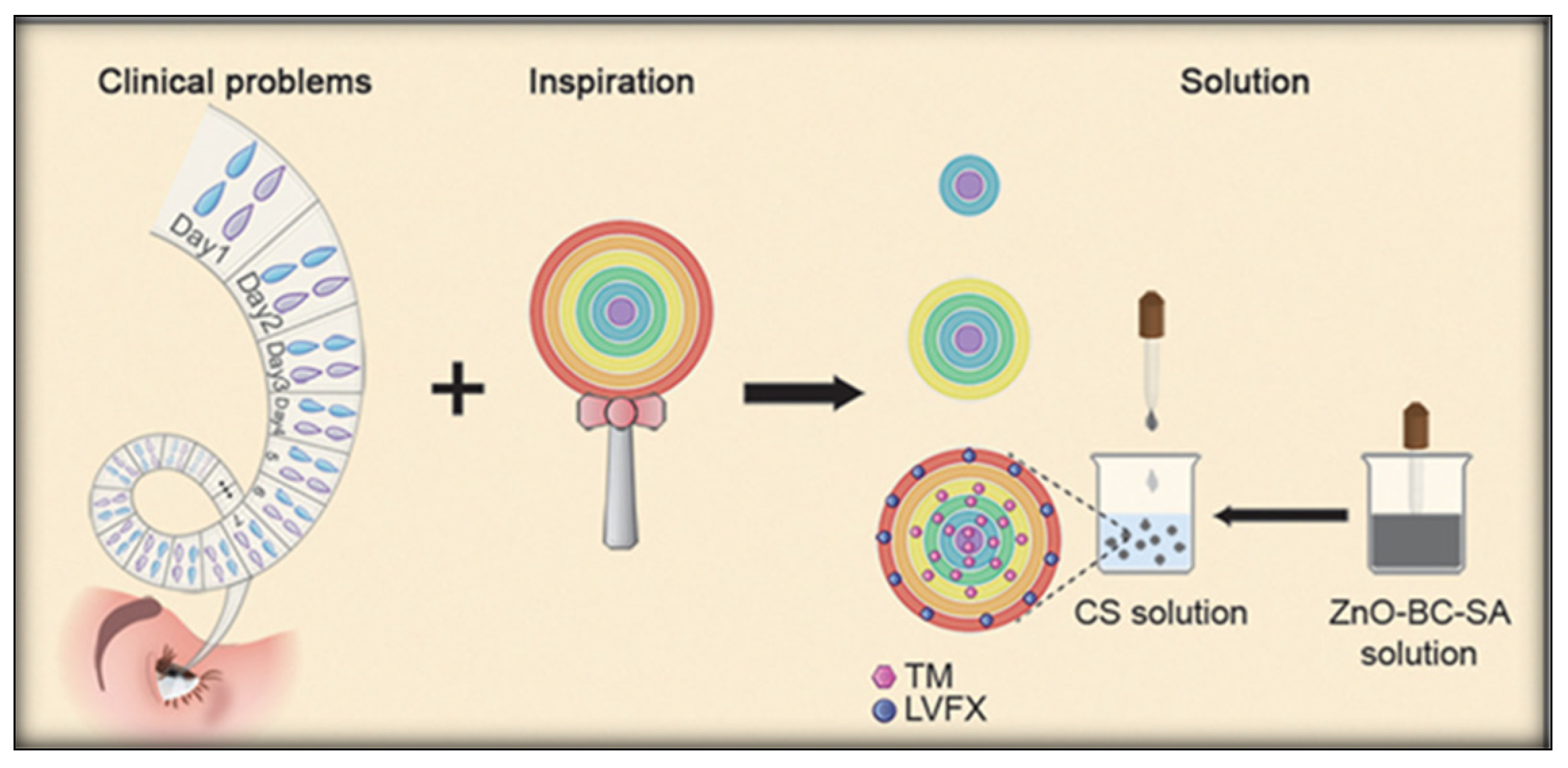 Polymers 15 04466 g003