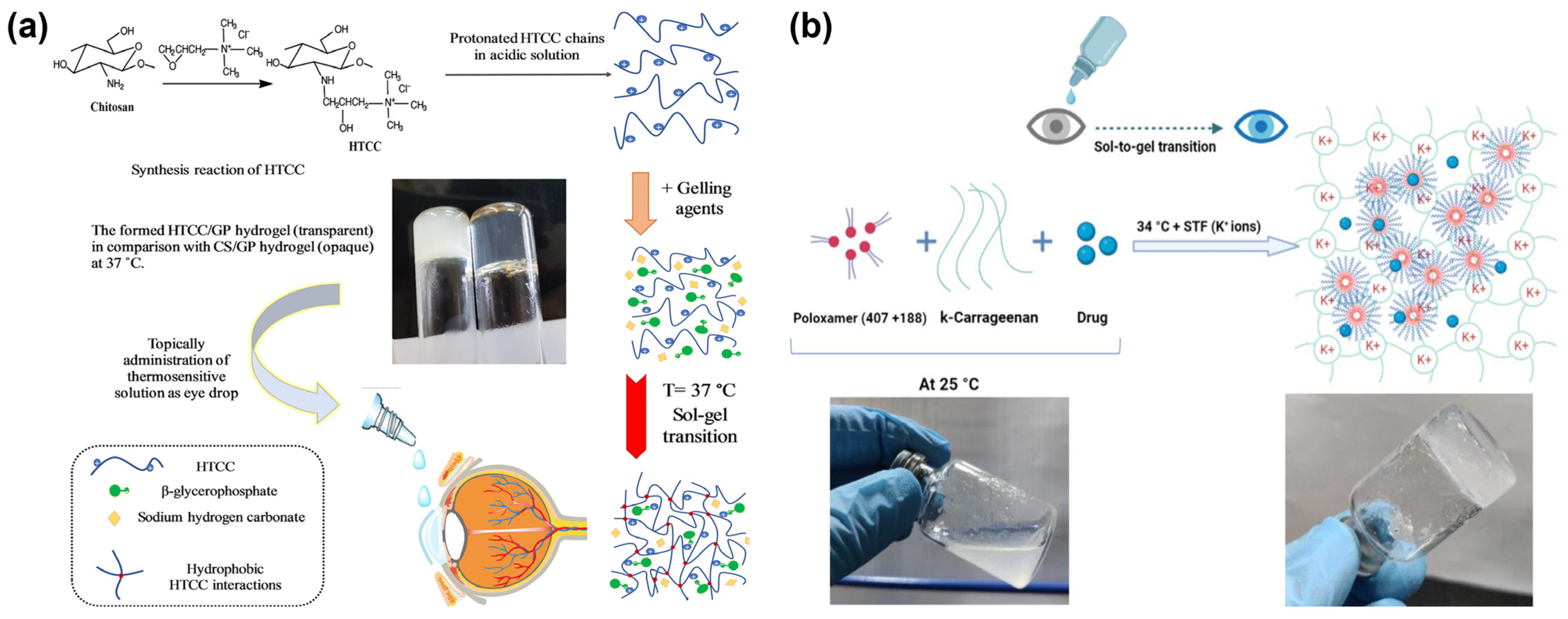 Polymers 15 04466 g004