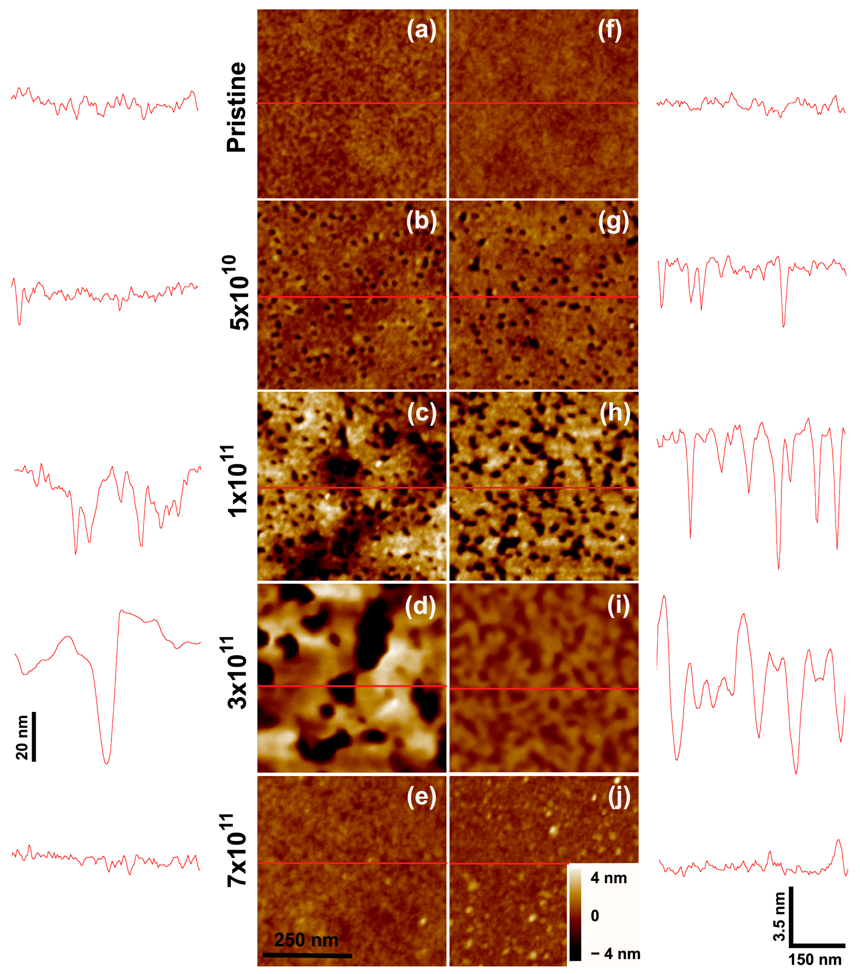 Polymers 15 04471 g002