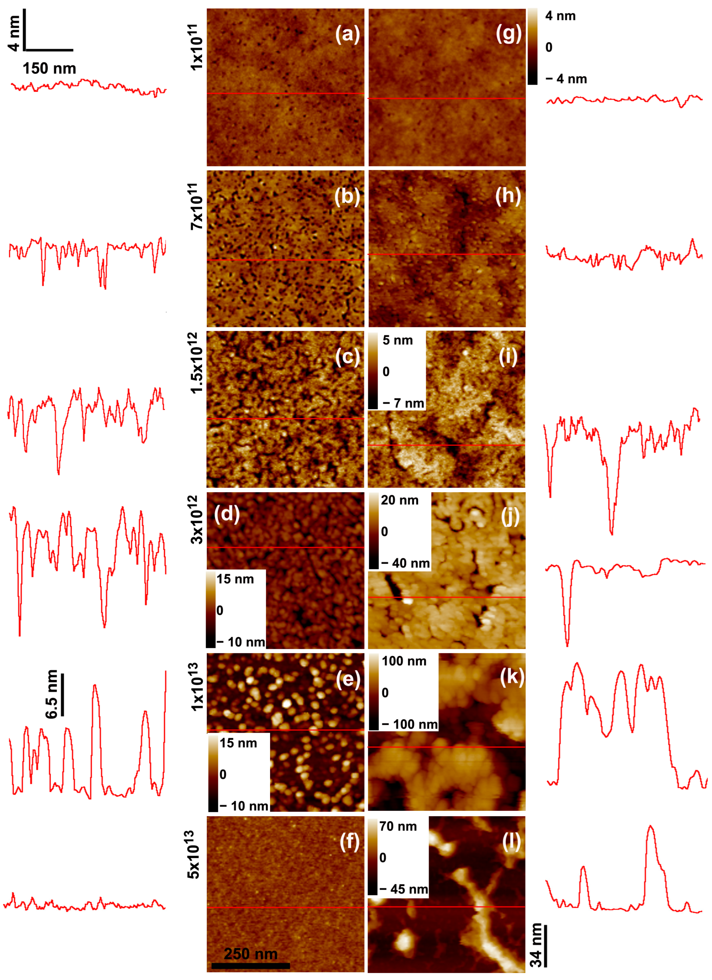 Polymers 15 04471 g004