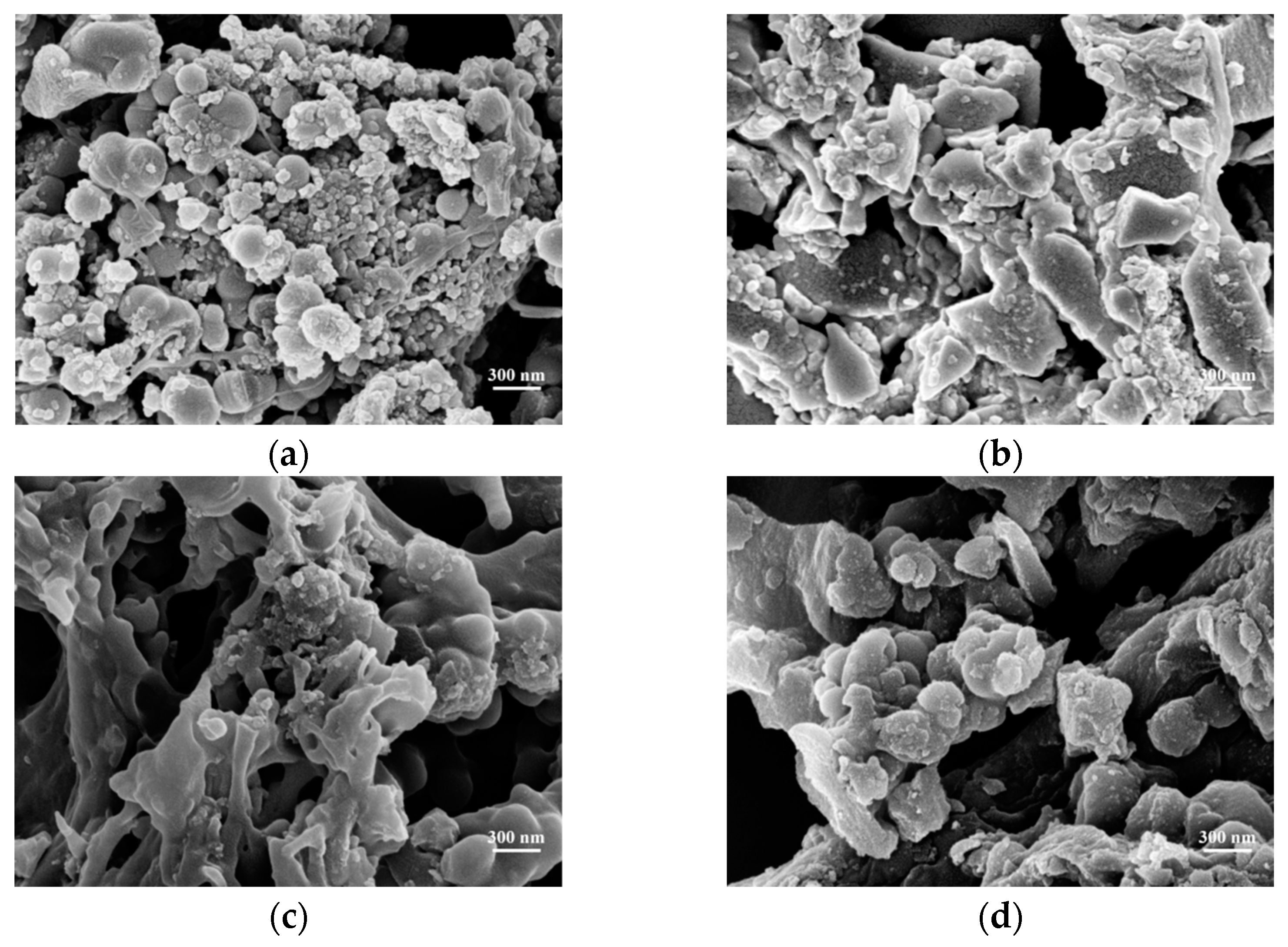 Polymers 15 04478 g004