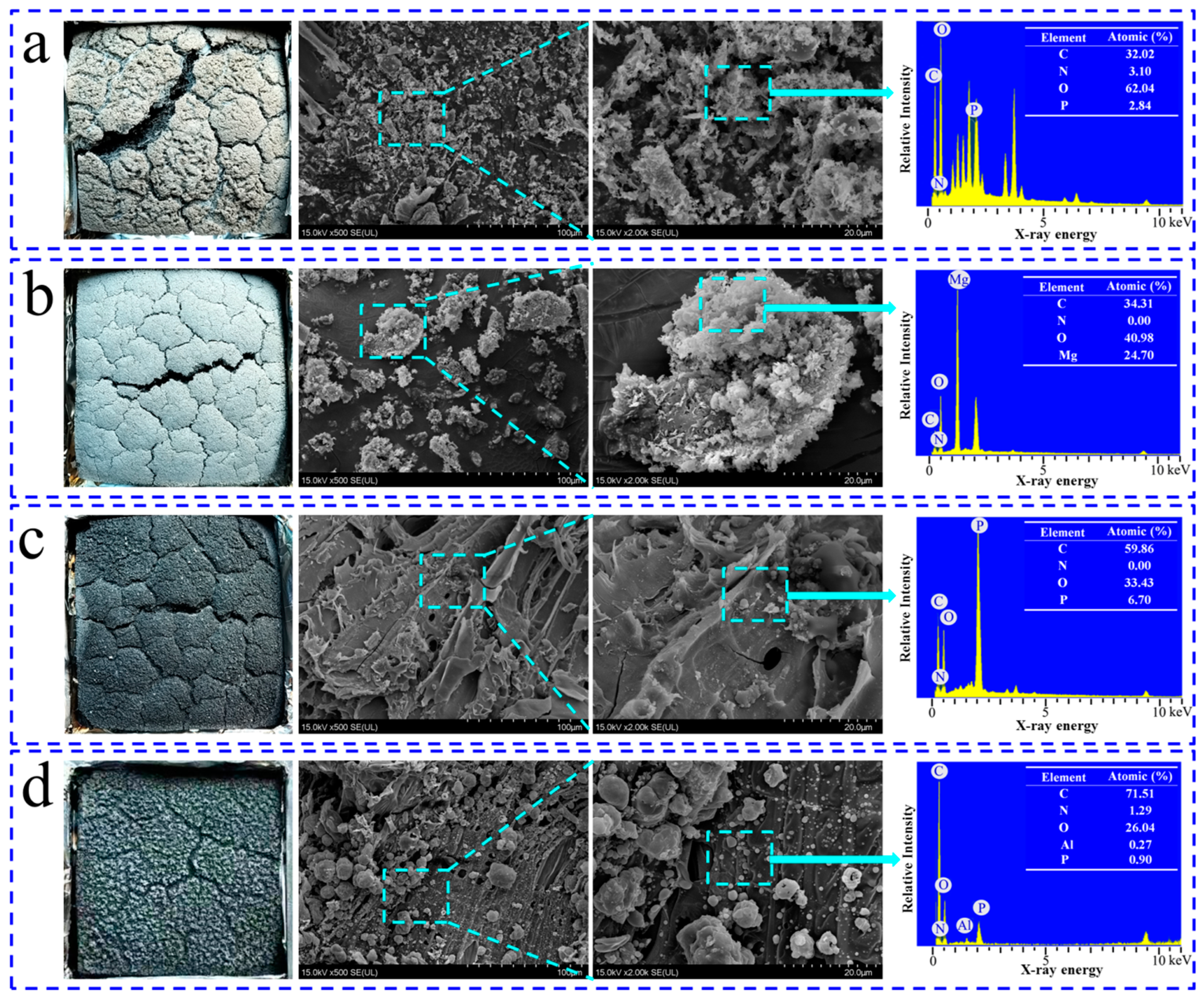 Polymers 15 04479 g005