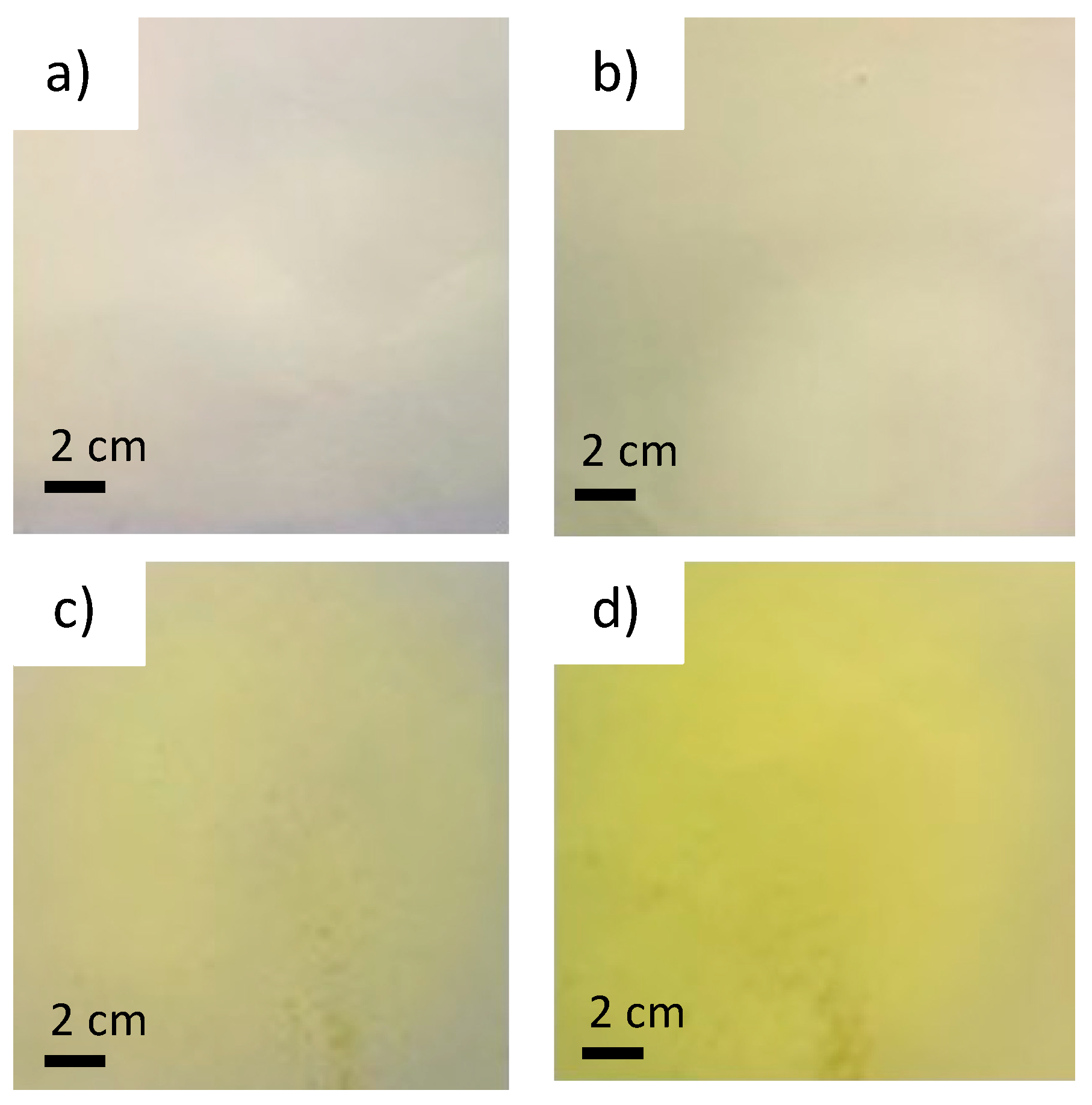 Polymers 15 04480 g002