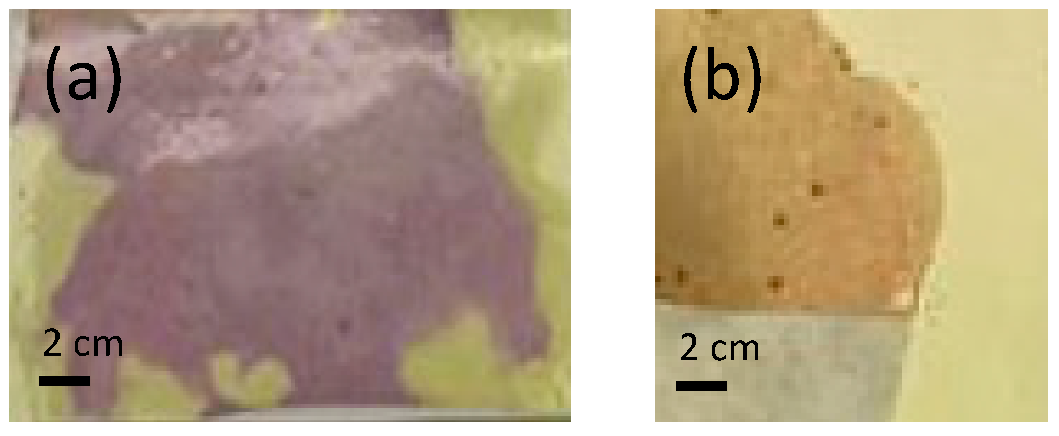 Polymers 15 04480 g003