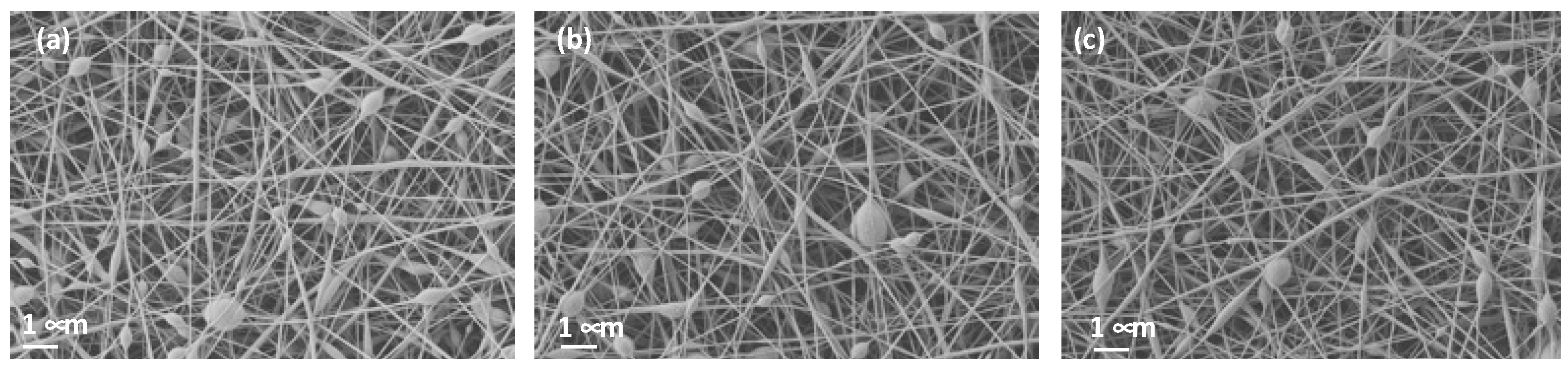 Polymers 15 04480 g005