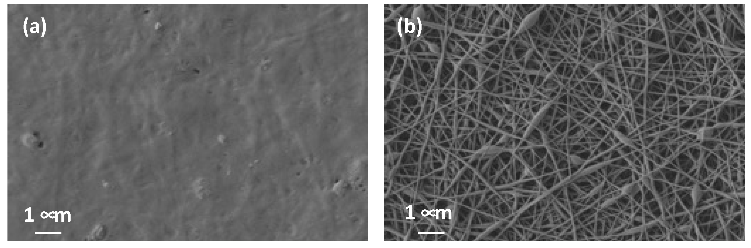 Polymers 15 04480 g006