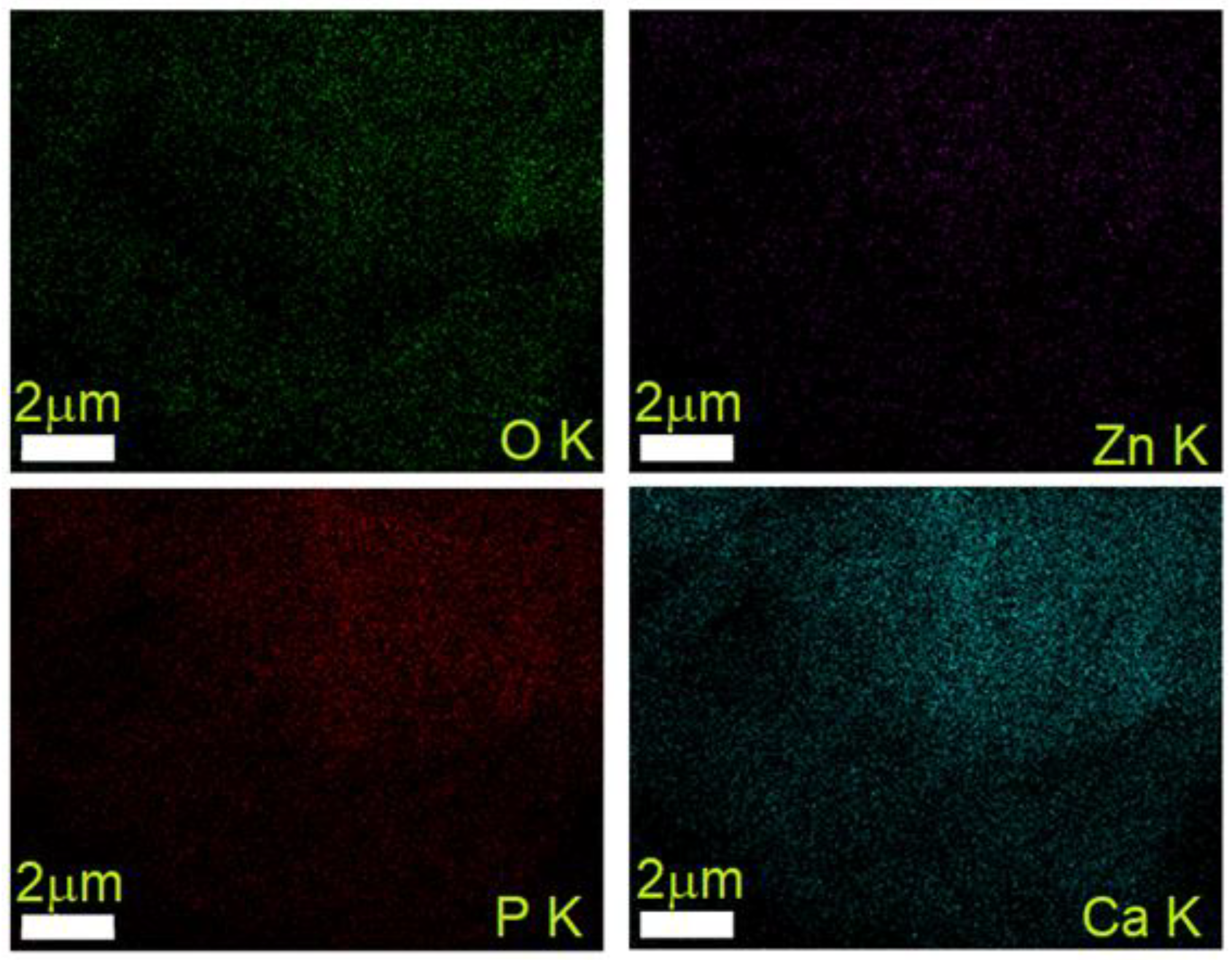 Polymers 15 04484 g005