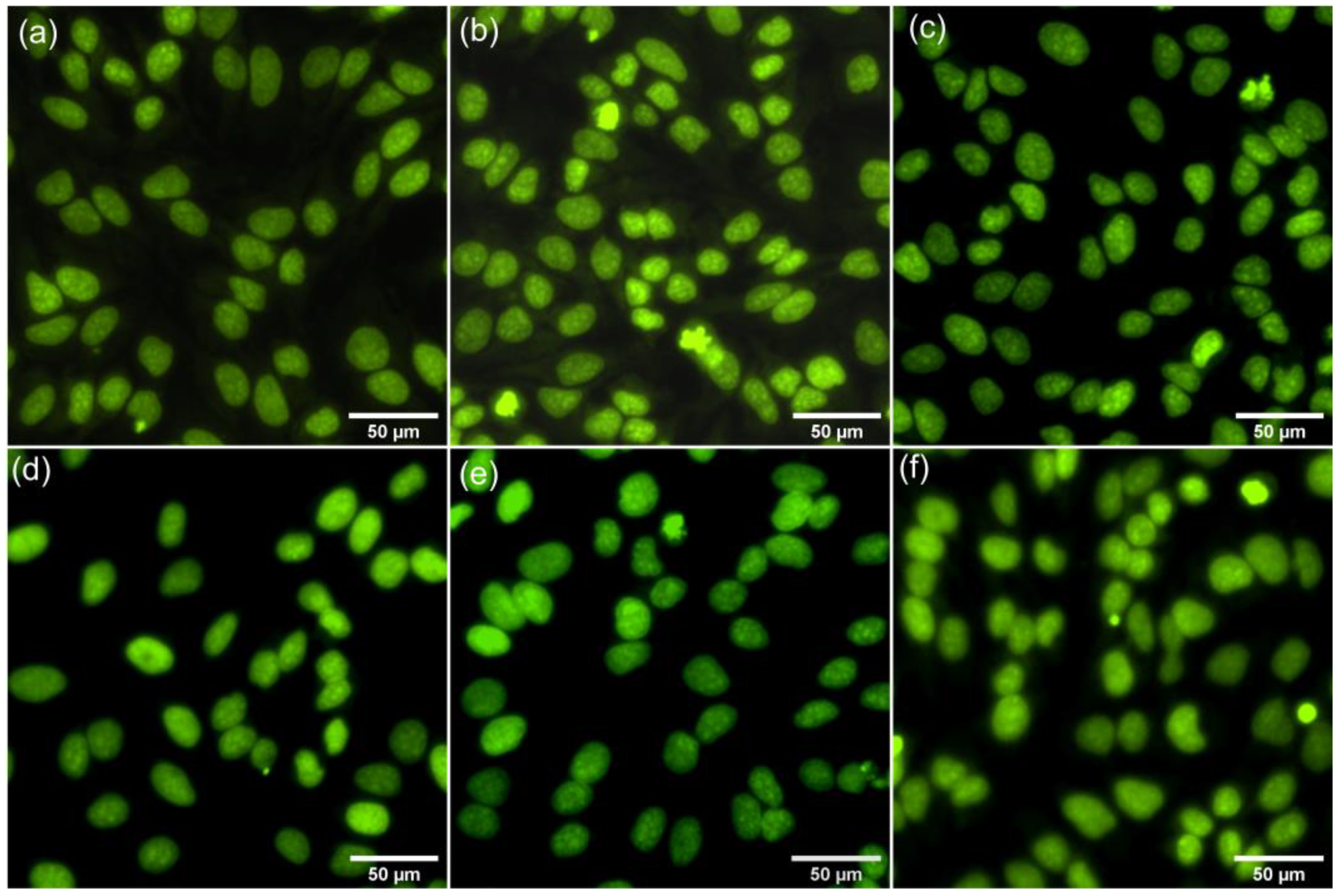 Polymers 15 04484 g010