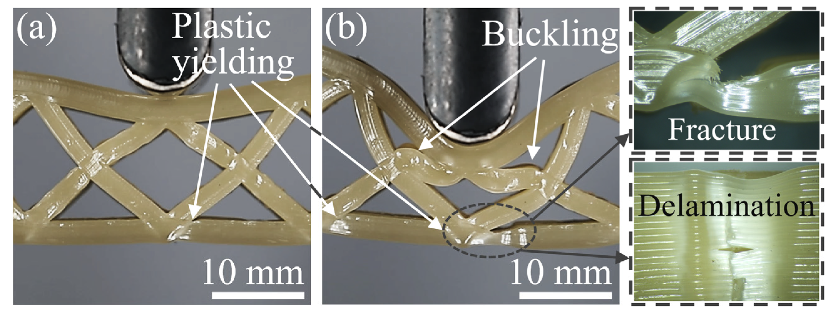 Polymers 15 04485 g010