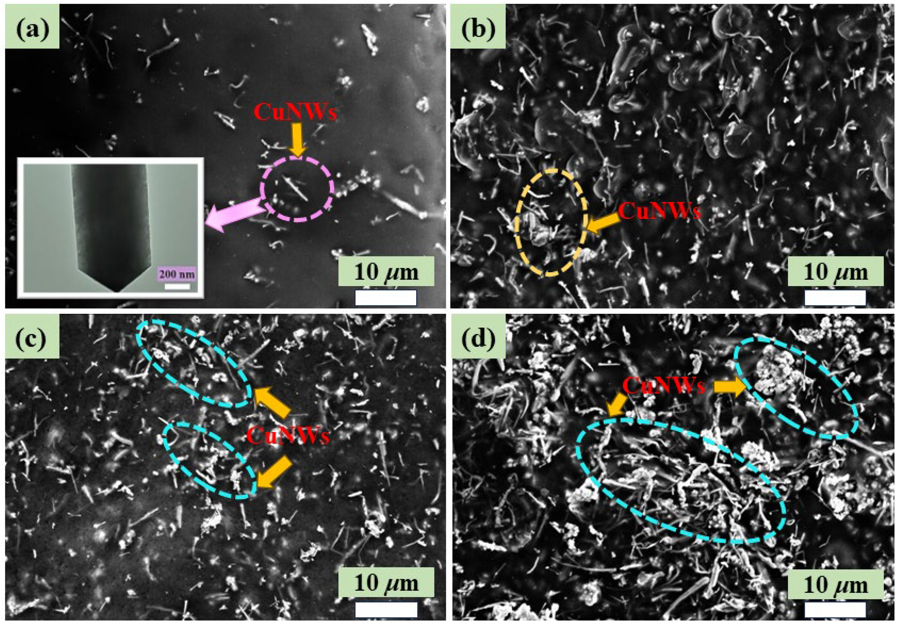 Polymers 15 04486 g003