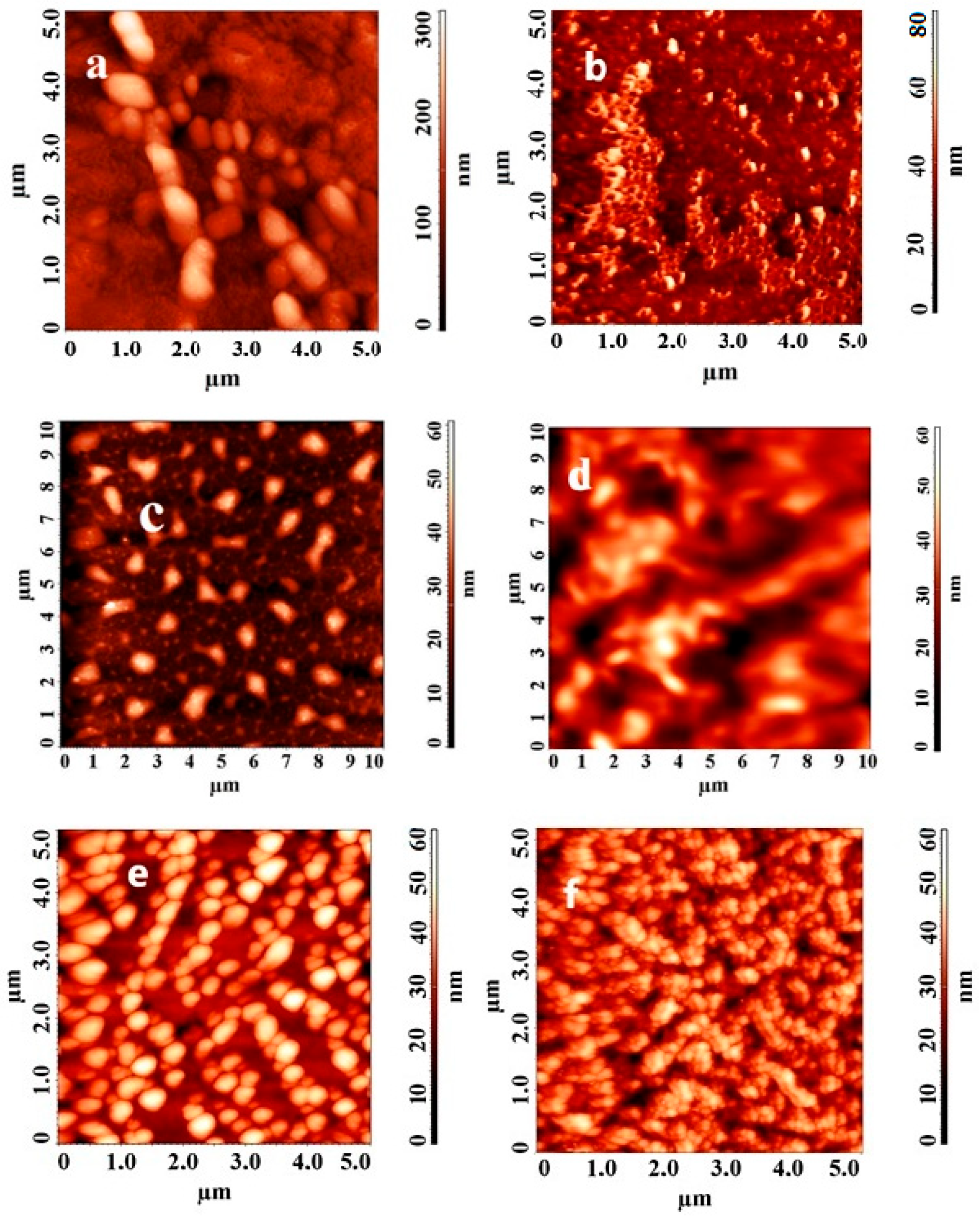 Polymers 15 04492 g007