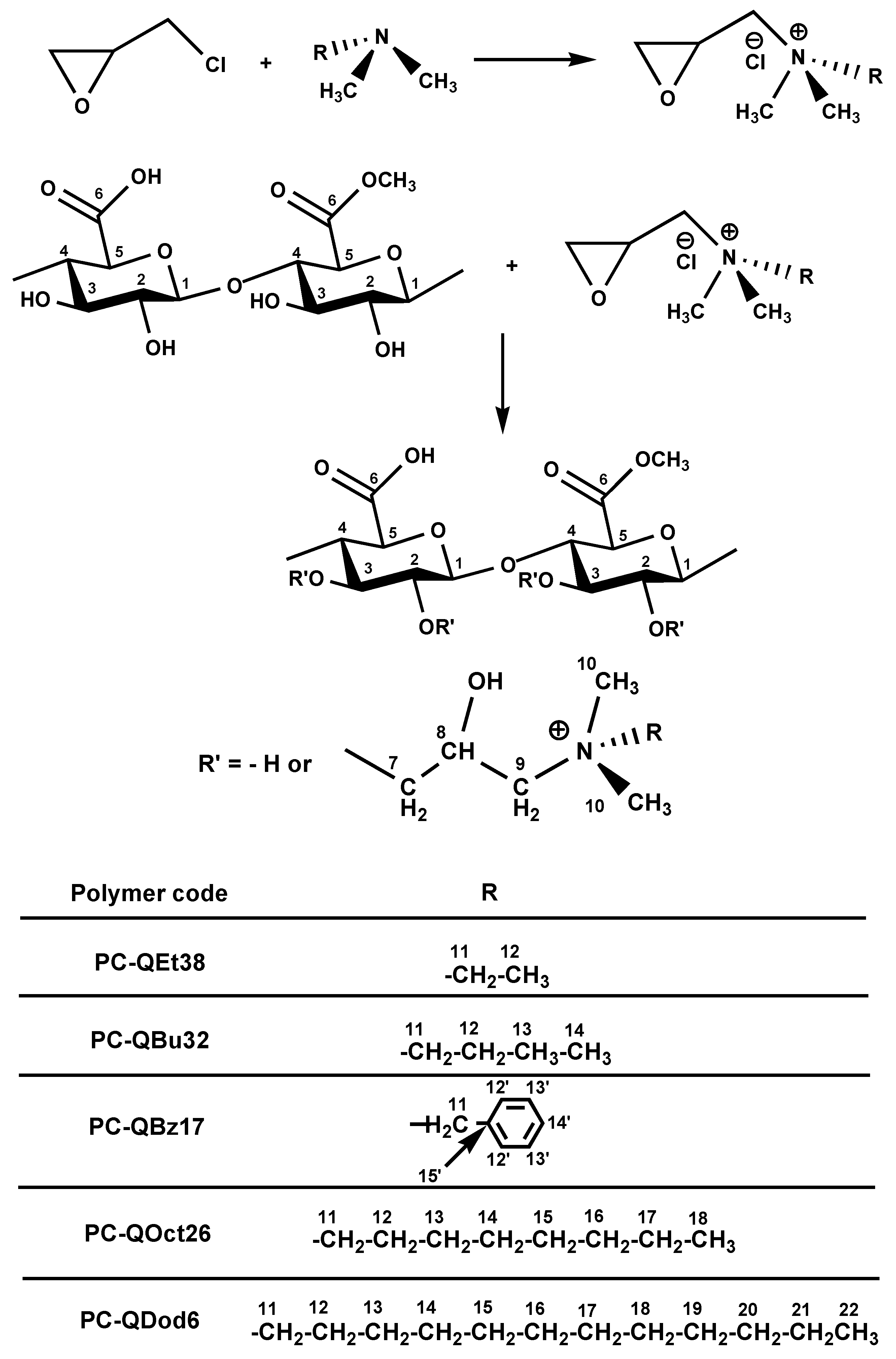 Polymers 15 04492 sch001