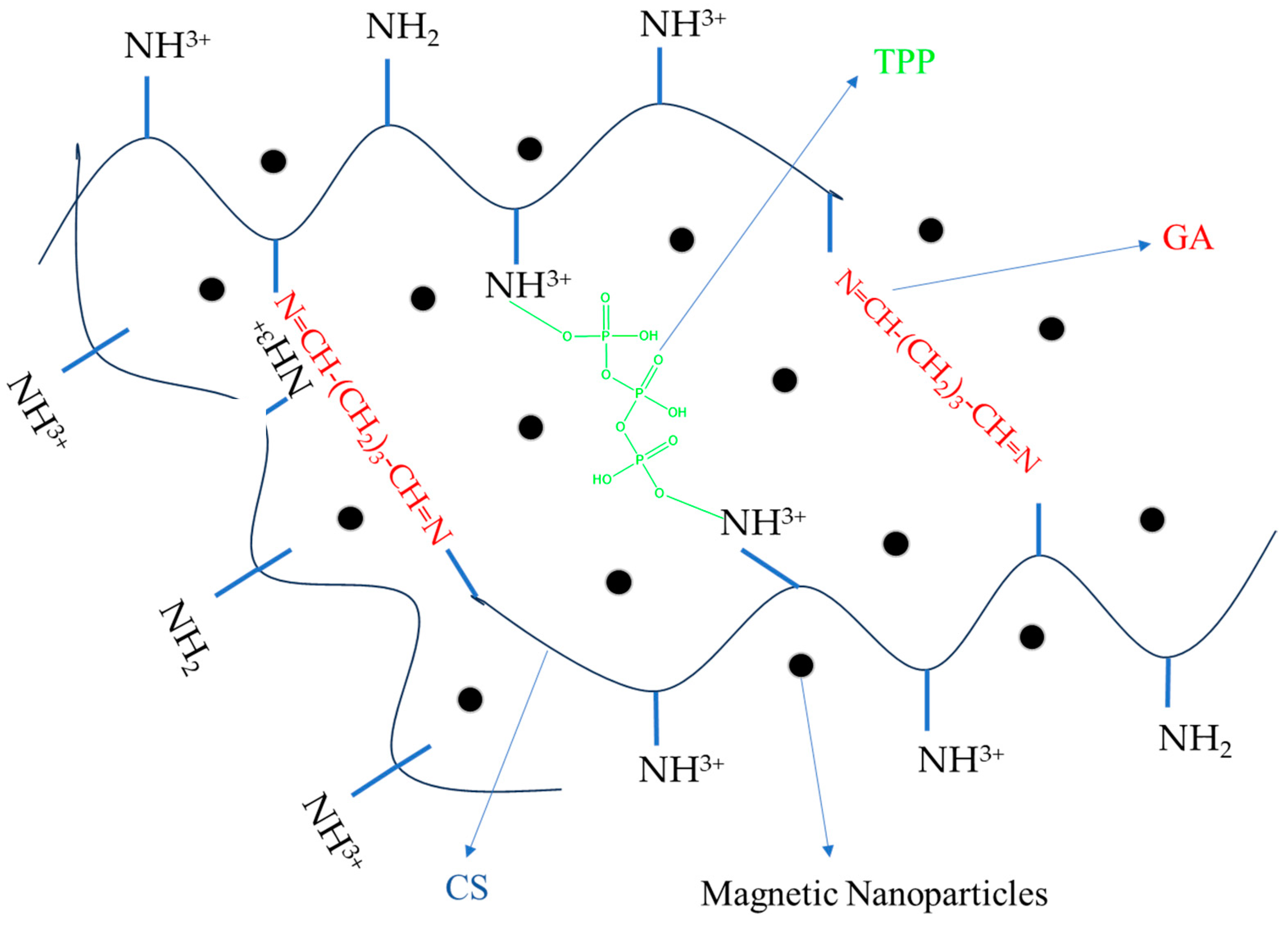 Polymers 15 04493 g001