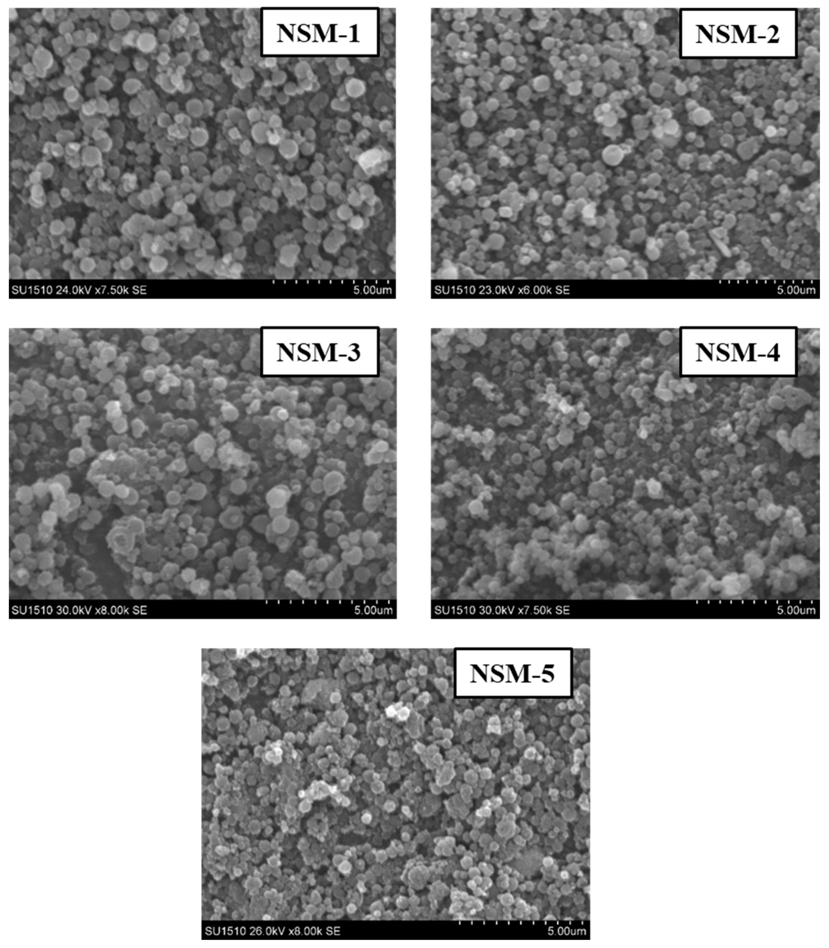 Polymers 15 04493 g004
