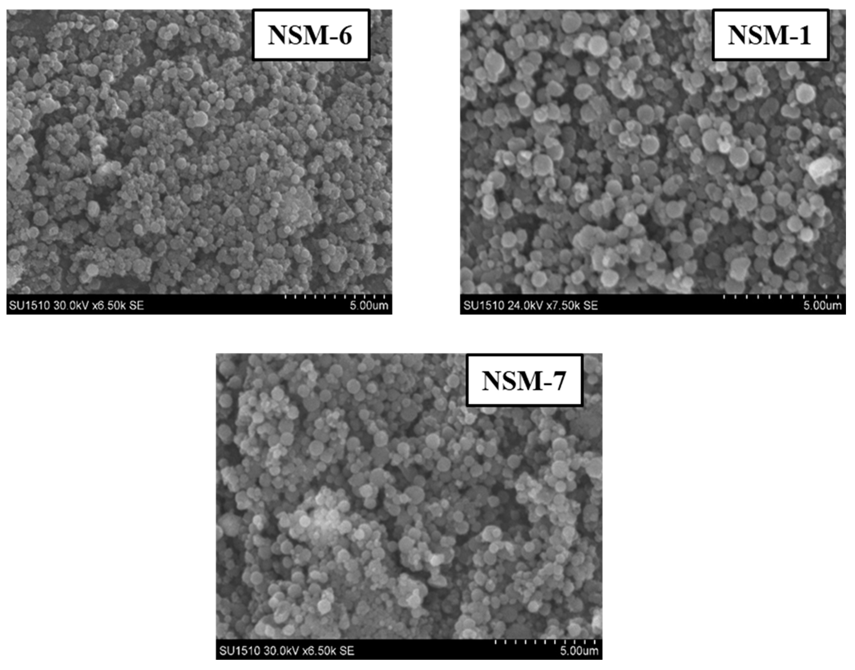 Polymers 15 04493 g005