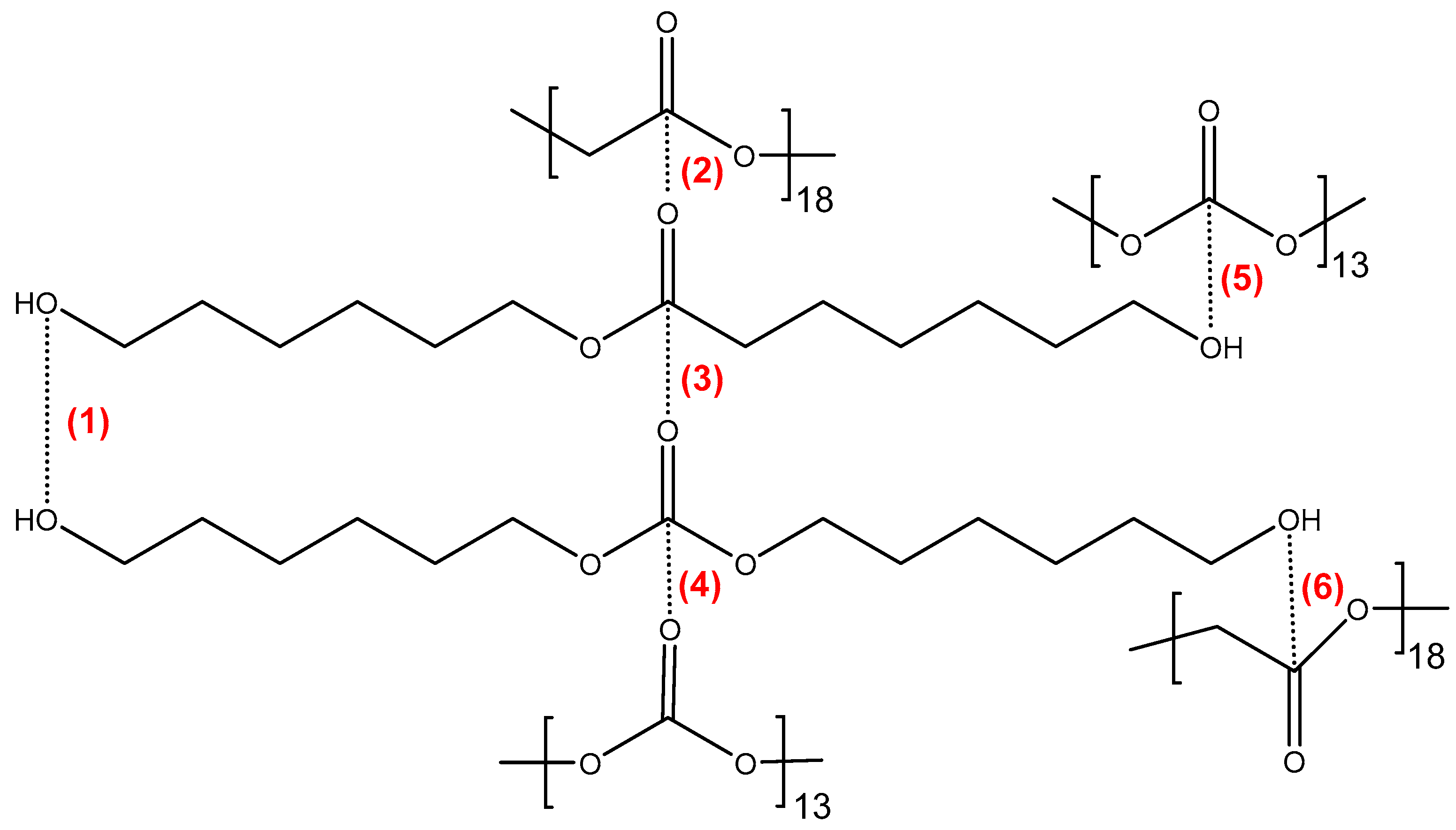 Polymers 15 04494 g004