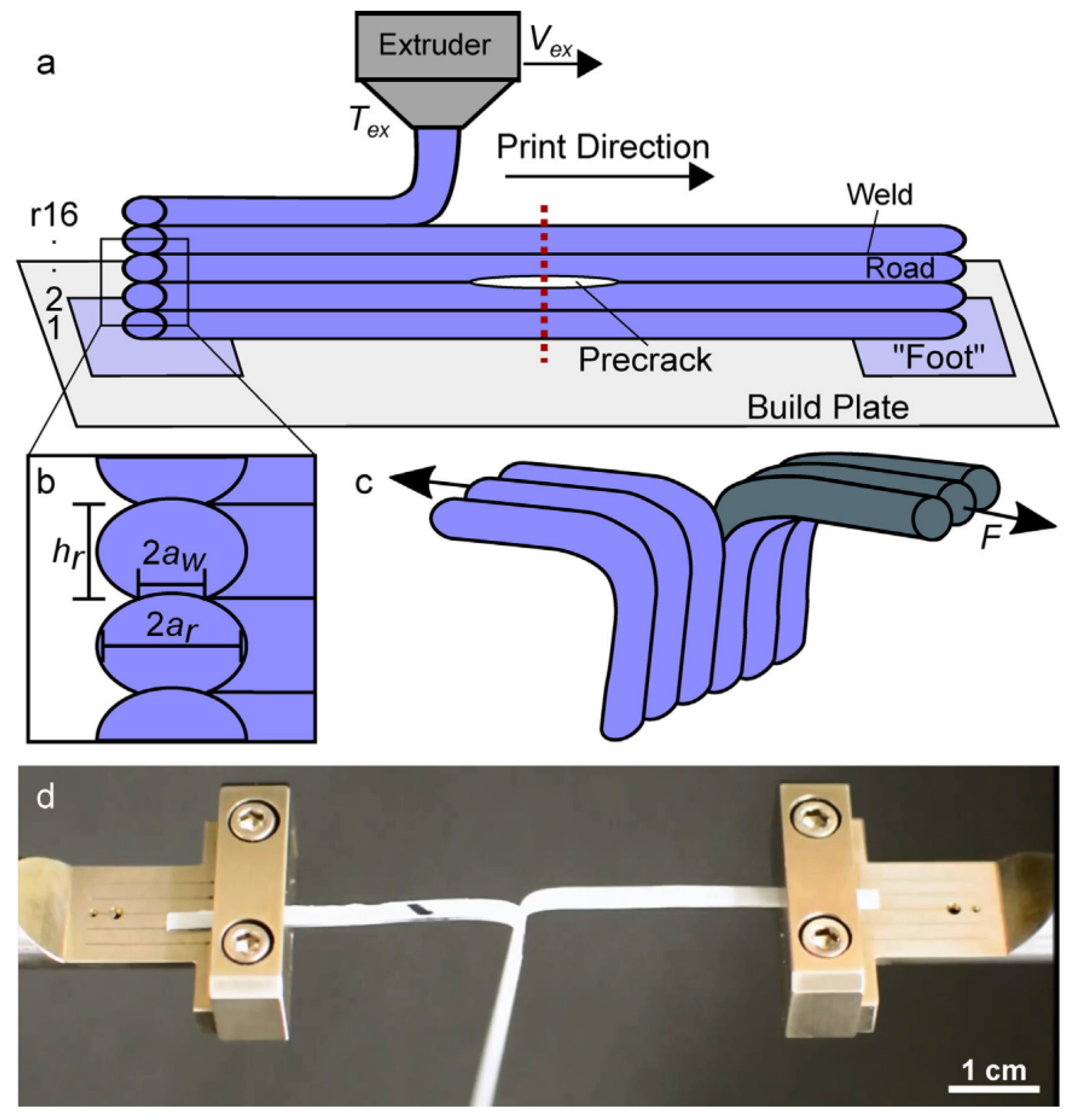 Polymers 15 04497 g011