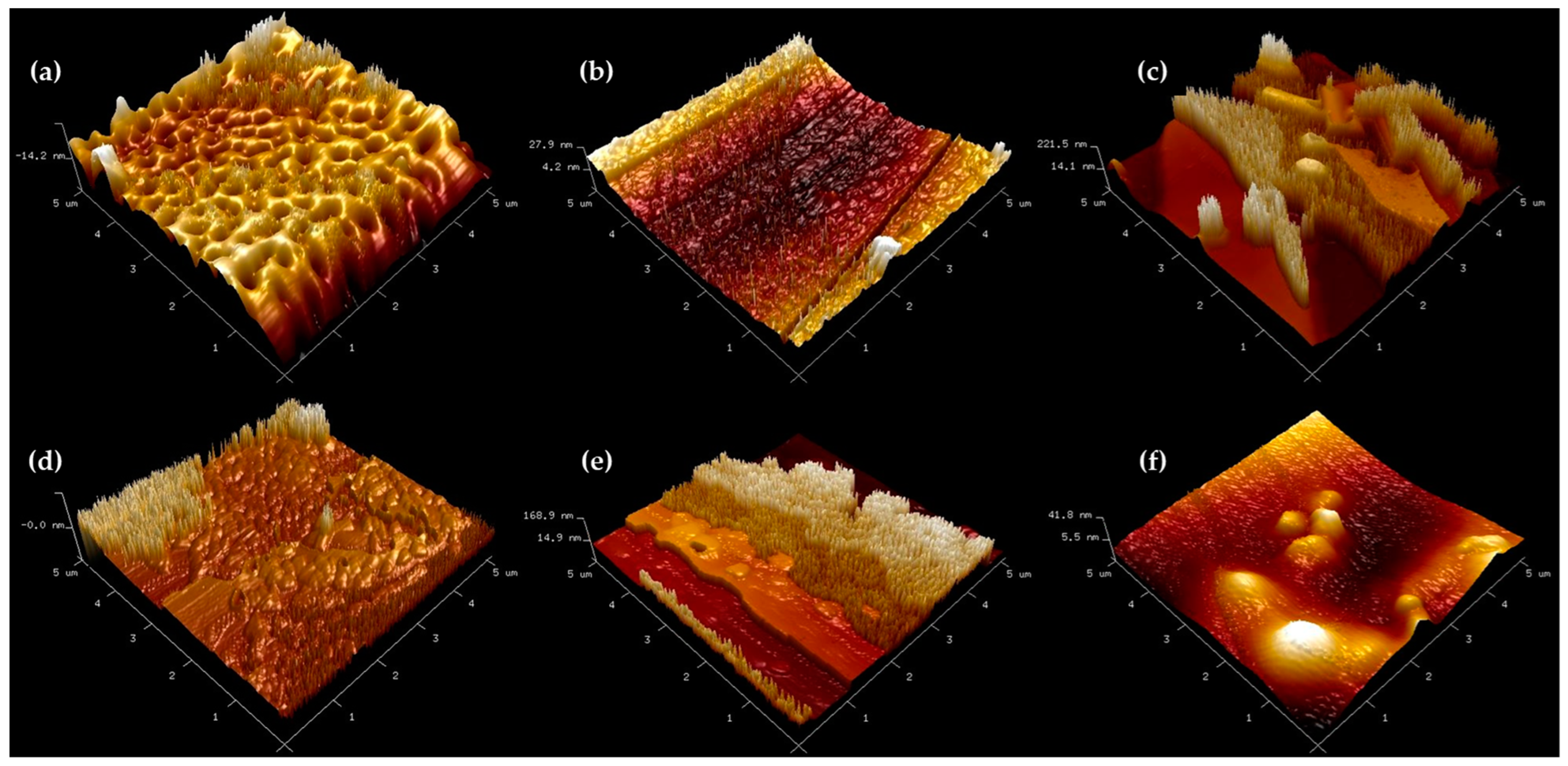 Polymers 15 04499 g009