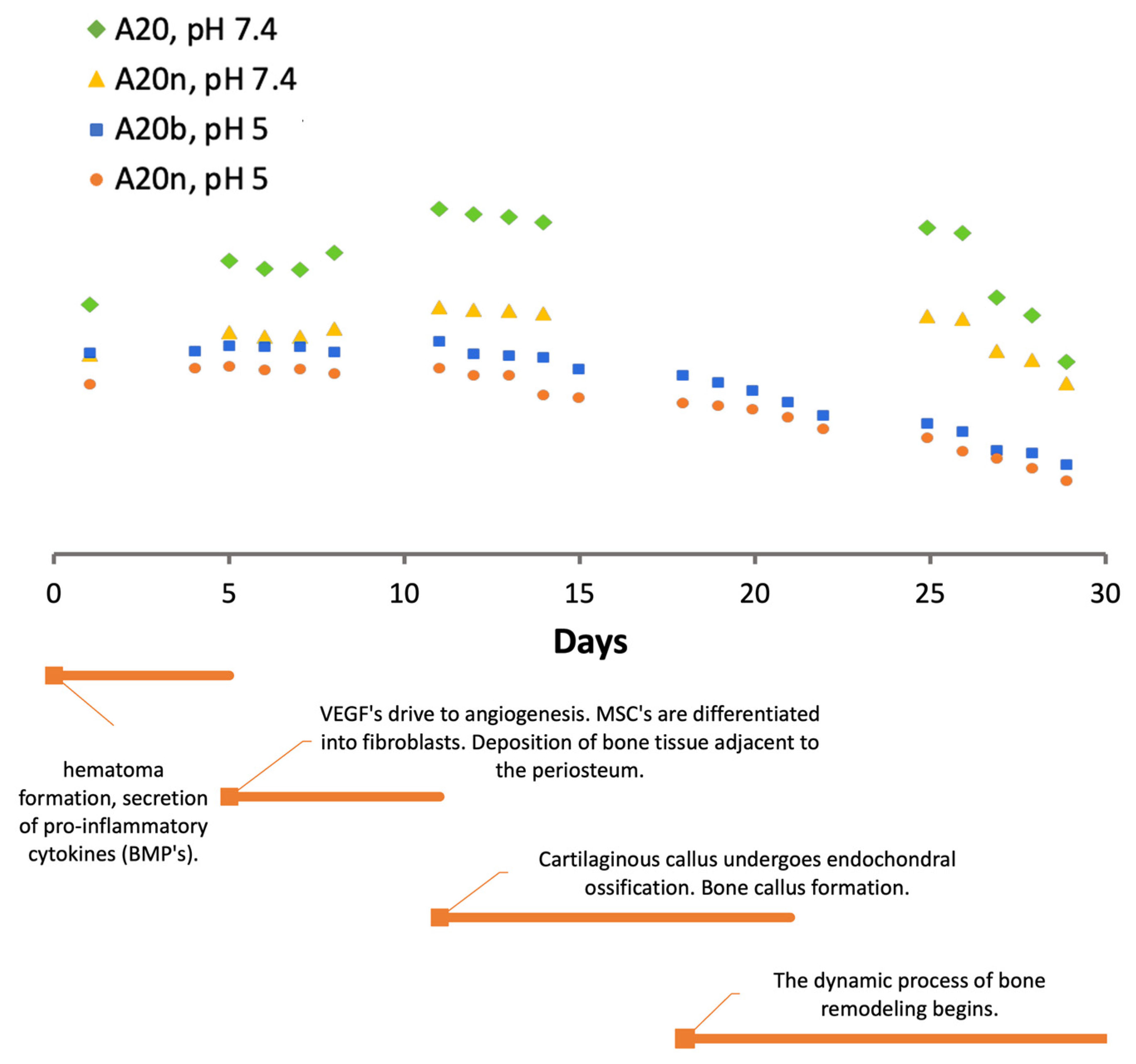 Polymers 15 04501 g011