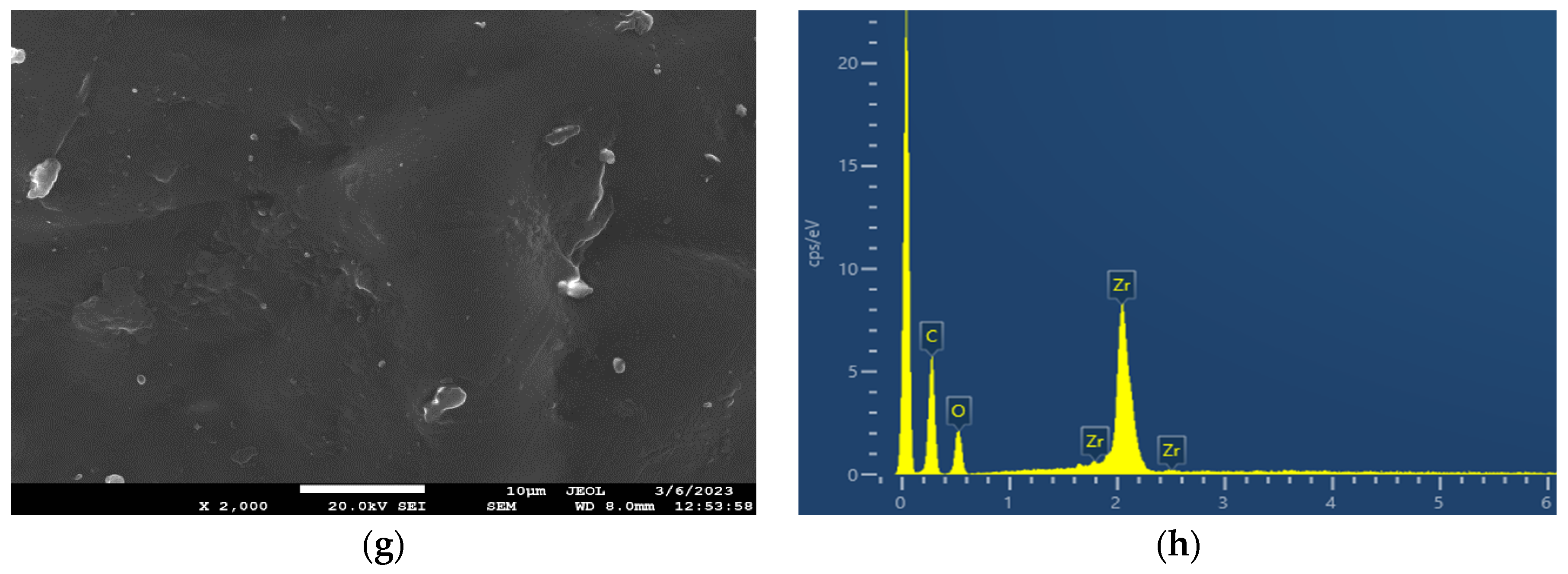 Polymers 15 04502 g004b