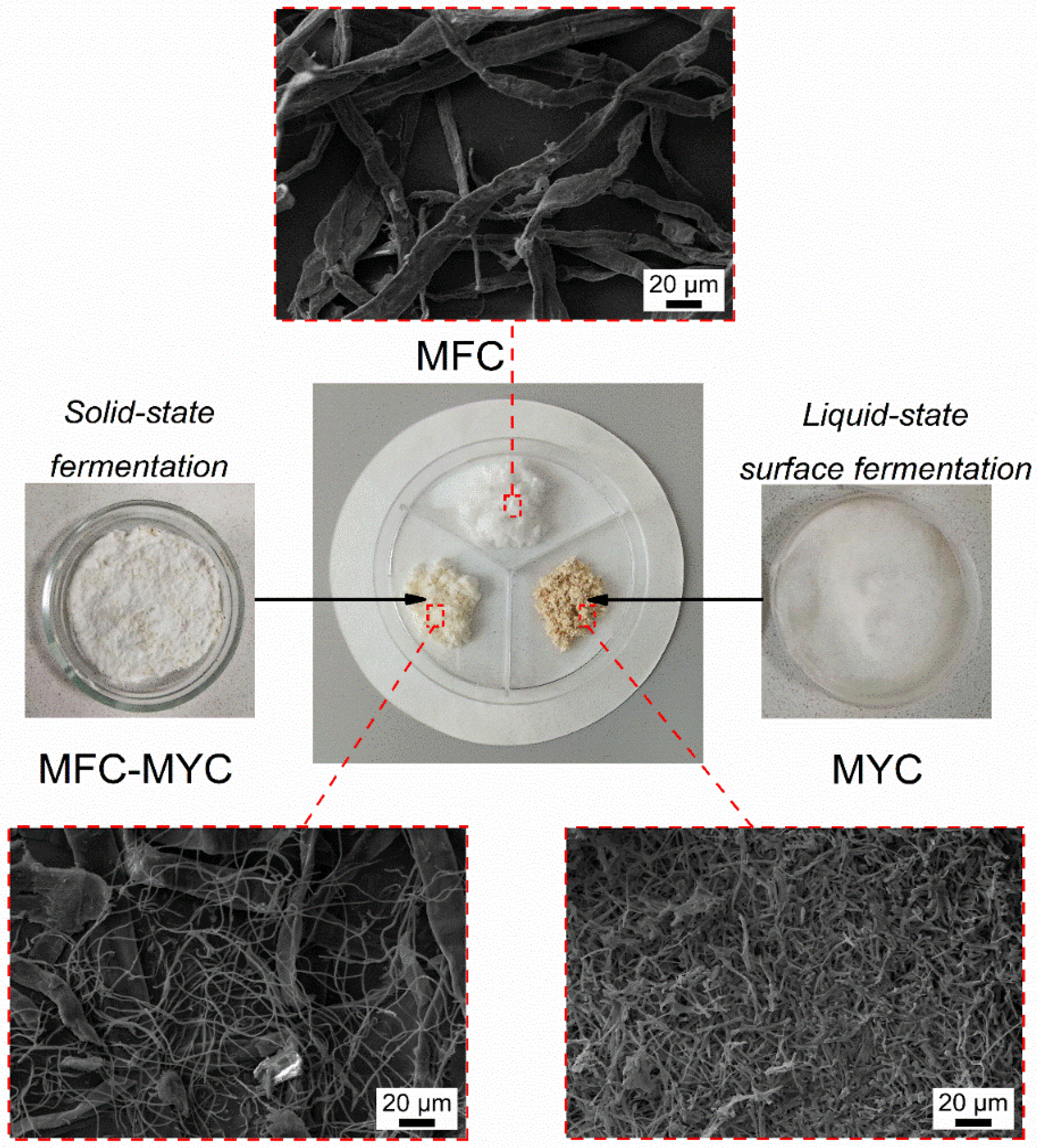 Polymers 15 04504 g001