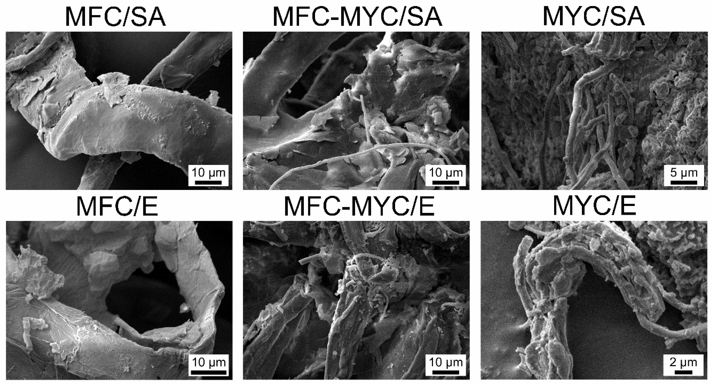 Polymers 15 04504 g002