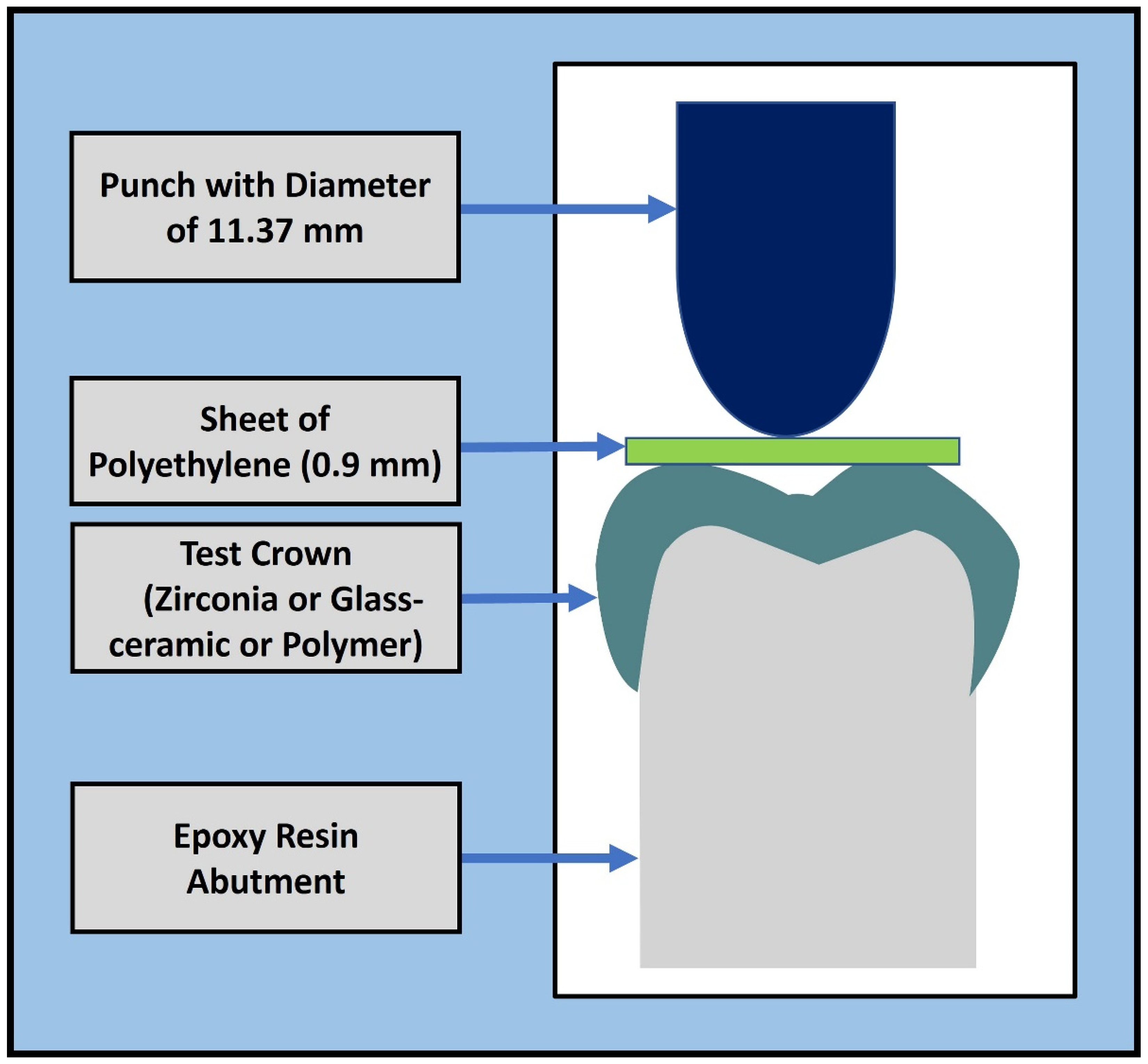 Polymers 15 04506 g001
