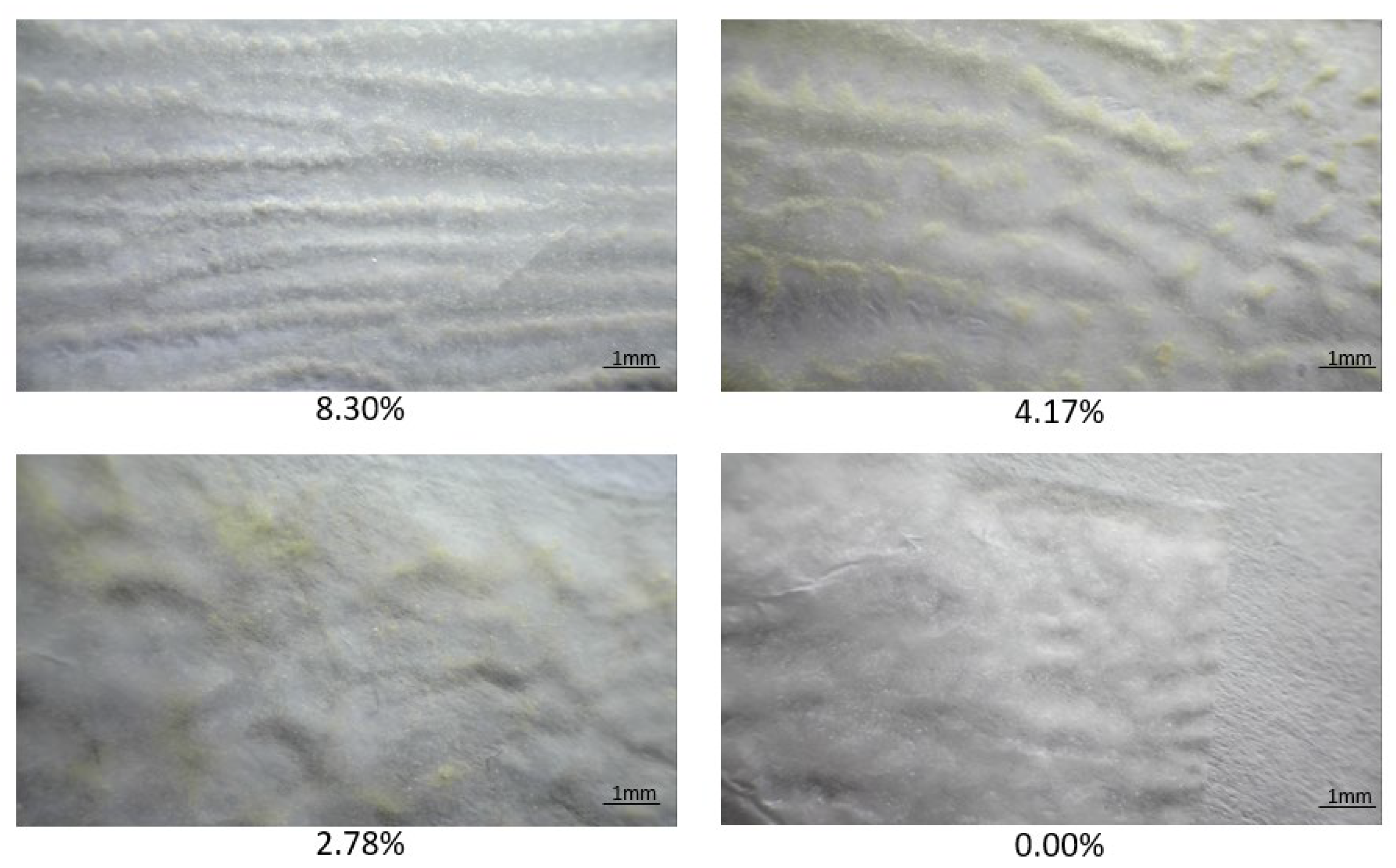 Polymers 15 04508 g007