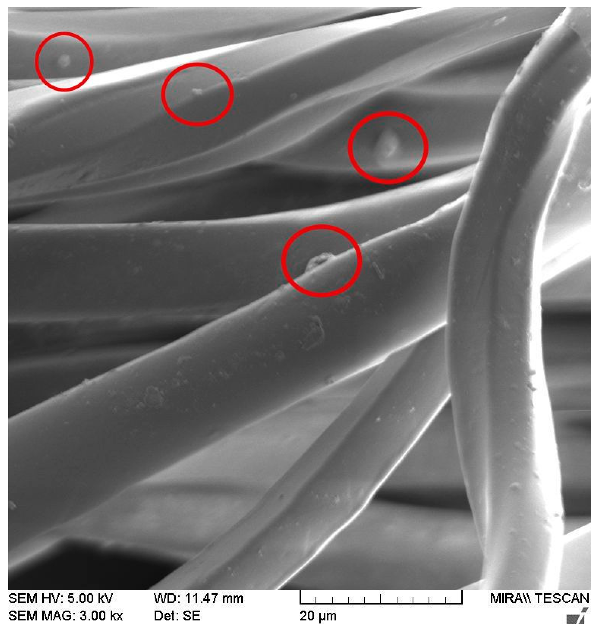 Polymers 15 04511 g002