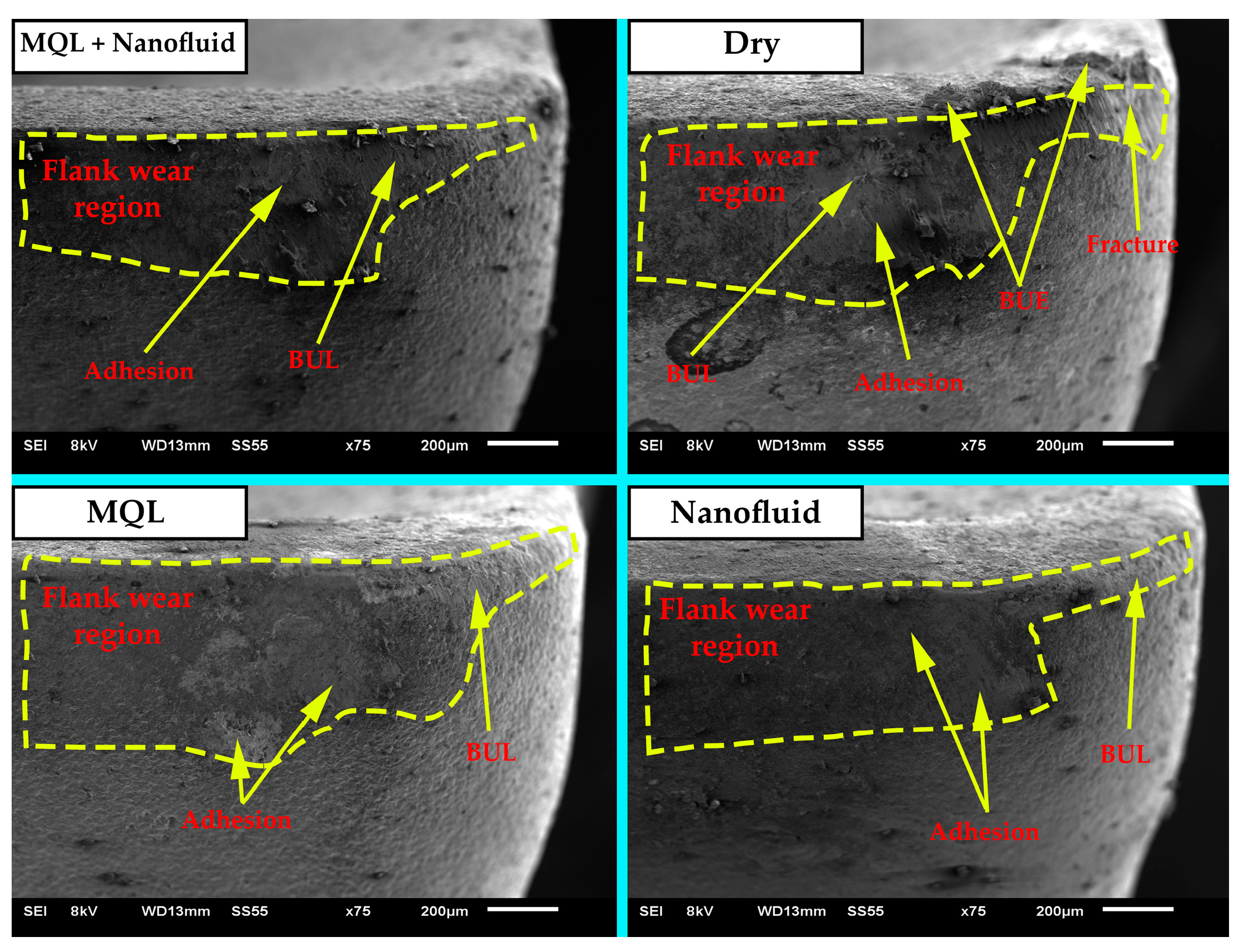 Polymers 15 04521 g006