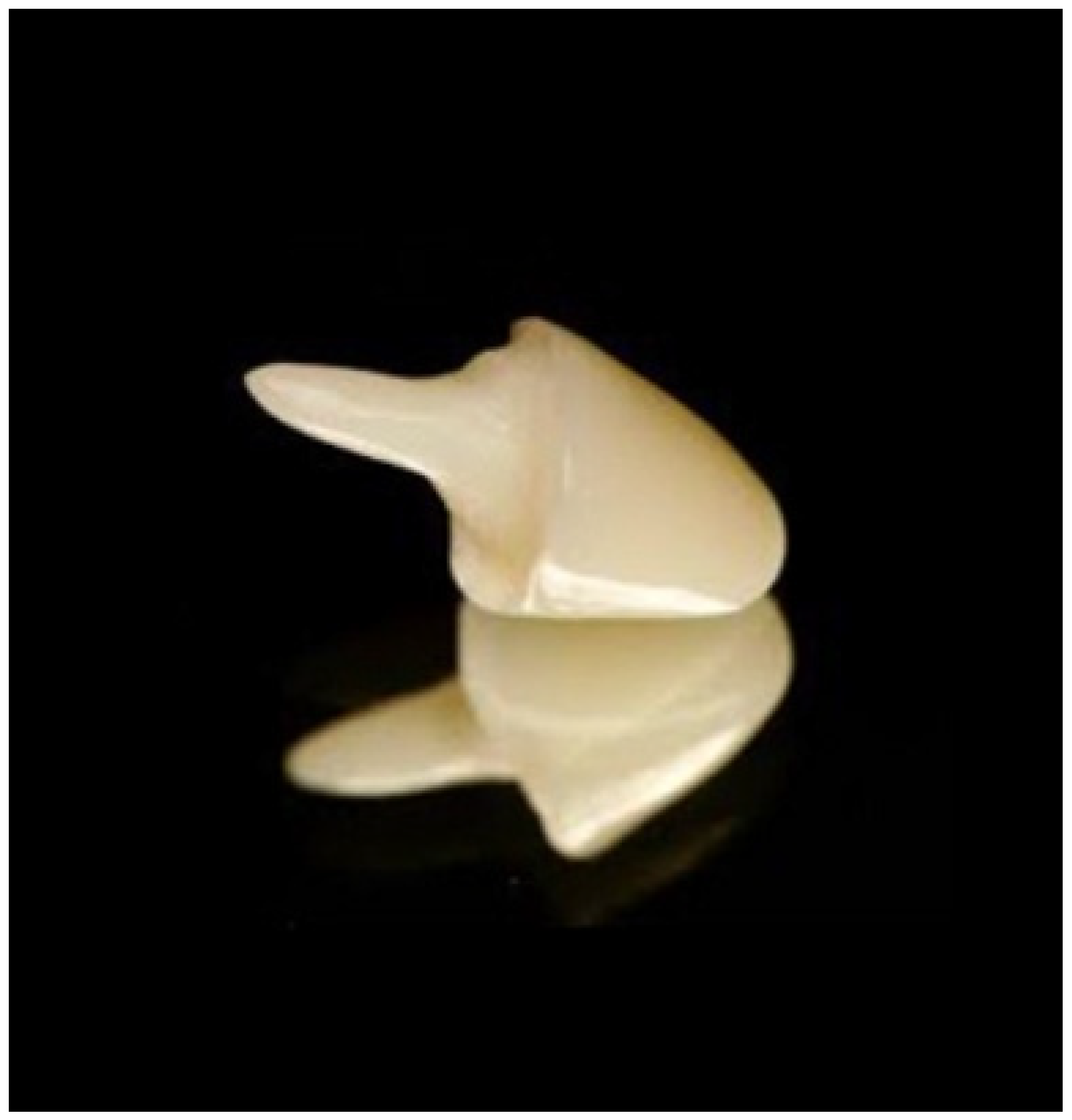 Polymers 15 04525 g009