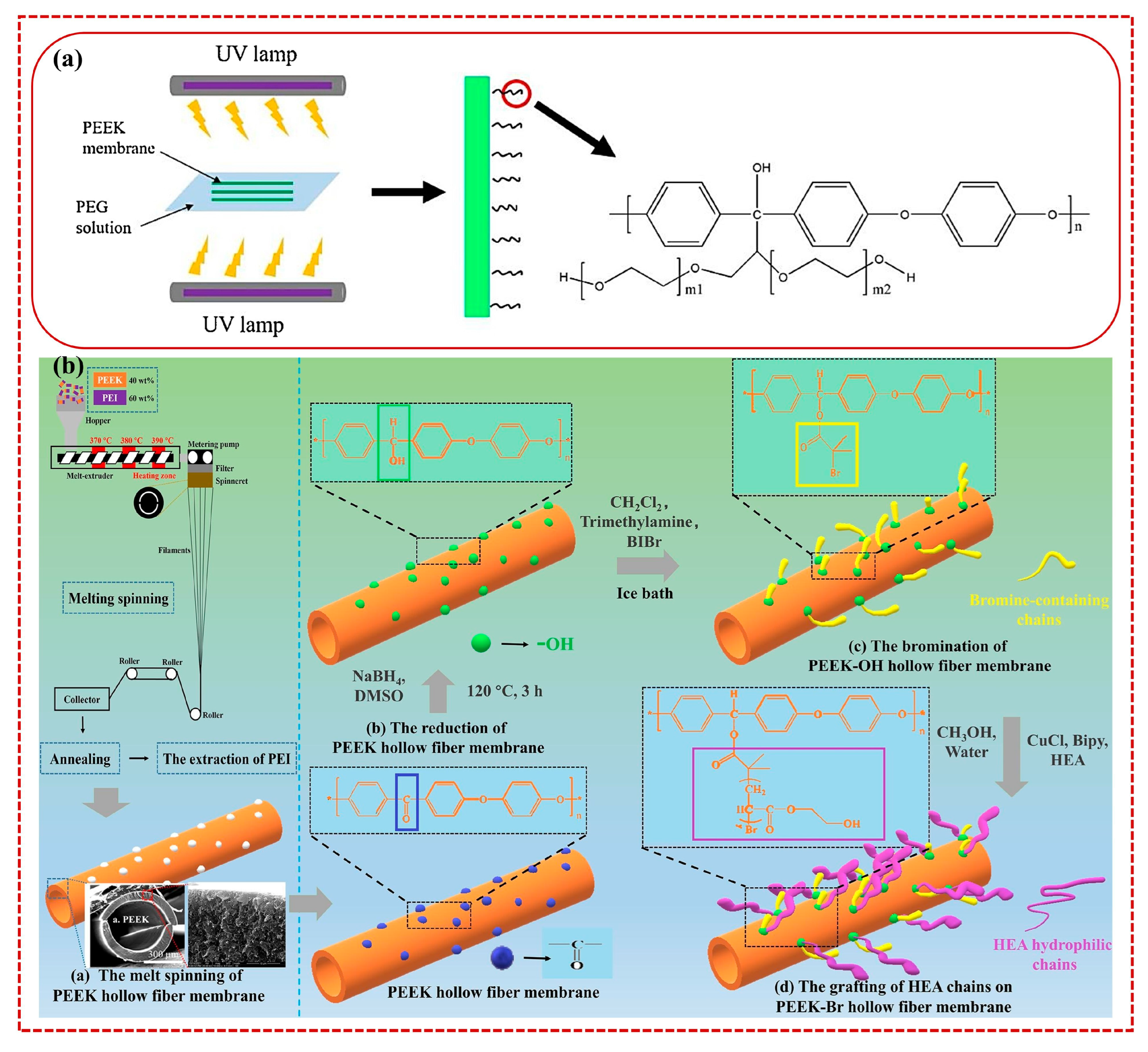 Polymers 15 04527 g003