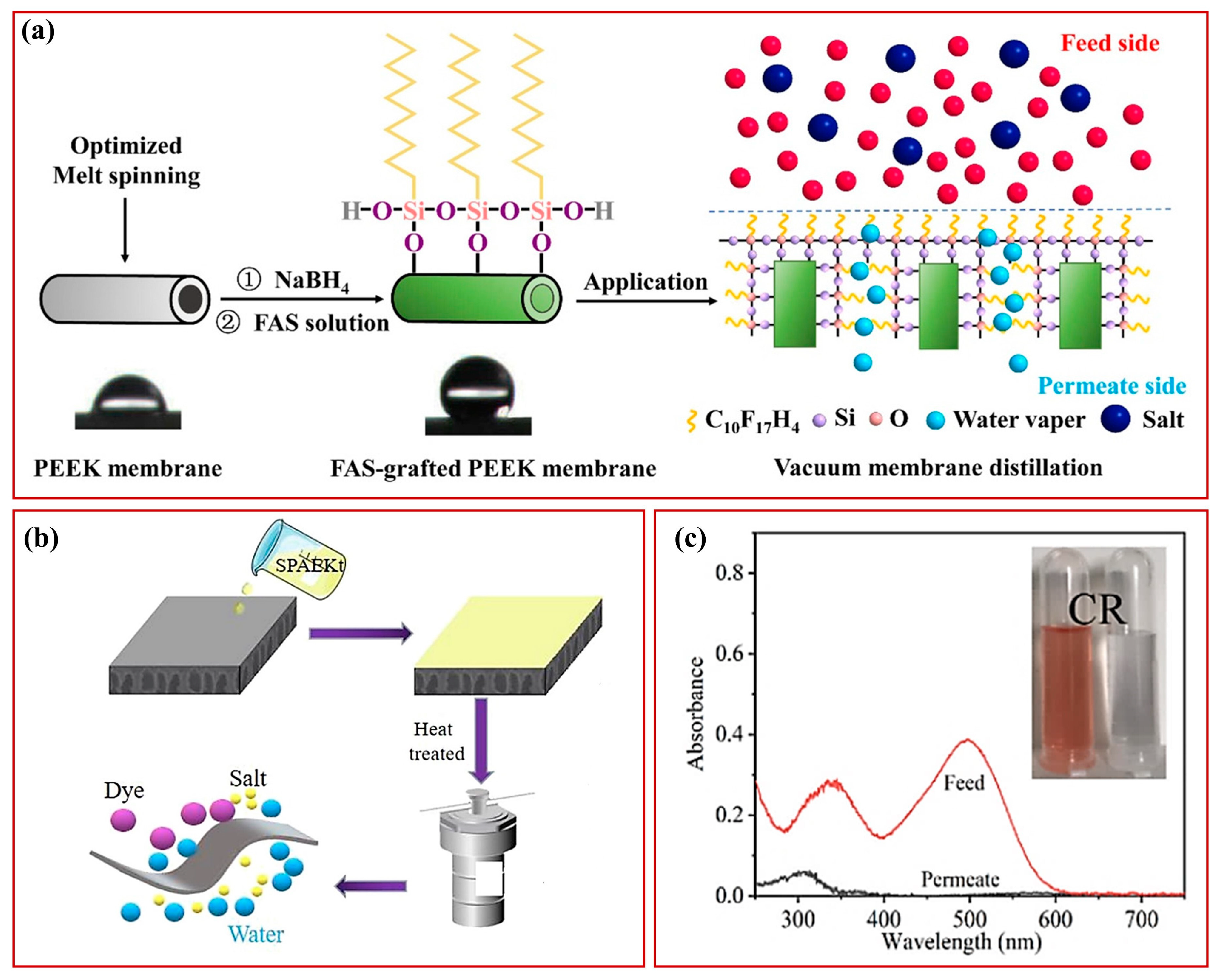 Polymers 15 04527 g004