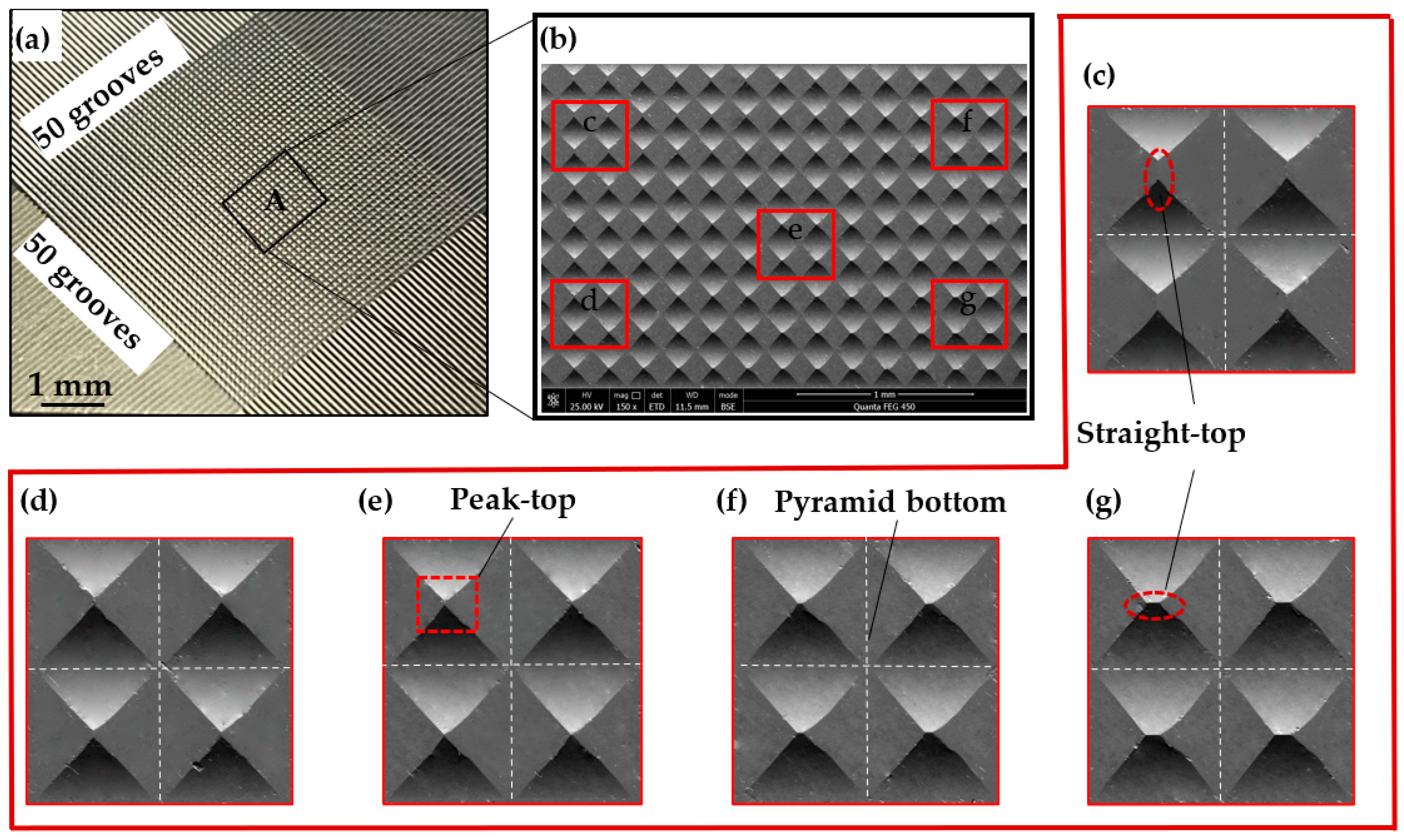 Polymers 15 04532 g007