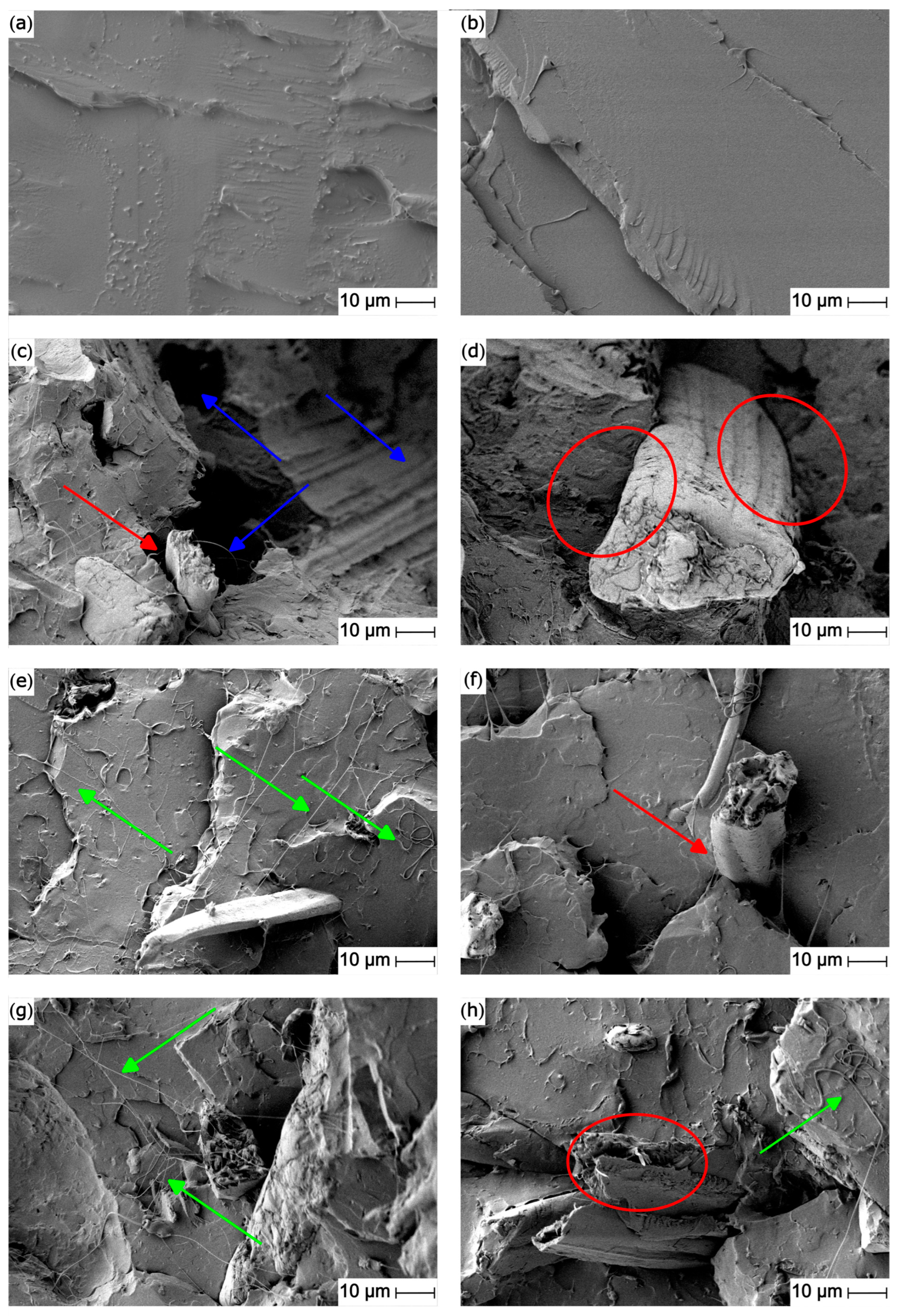 Polymers 15 04534 g003