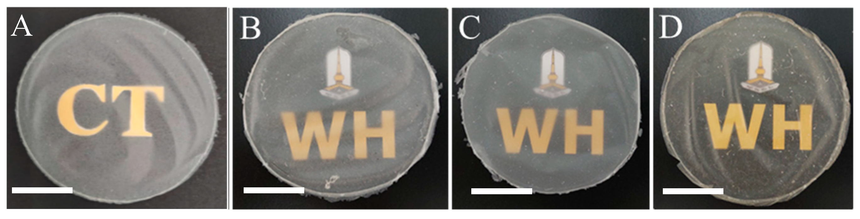Polymers 15 04535 g001