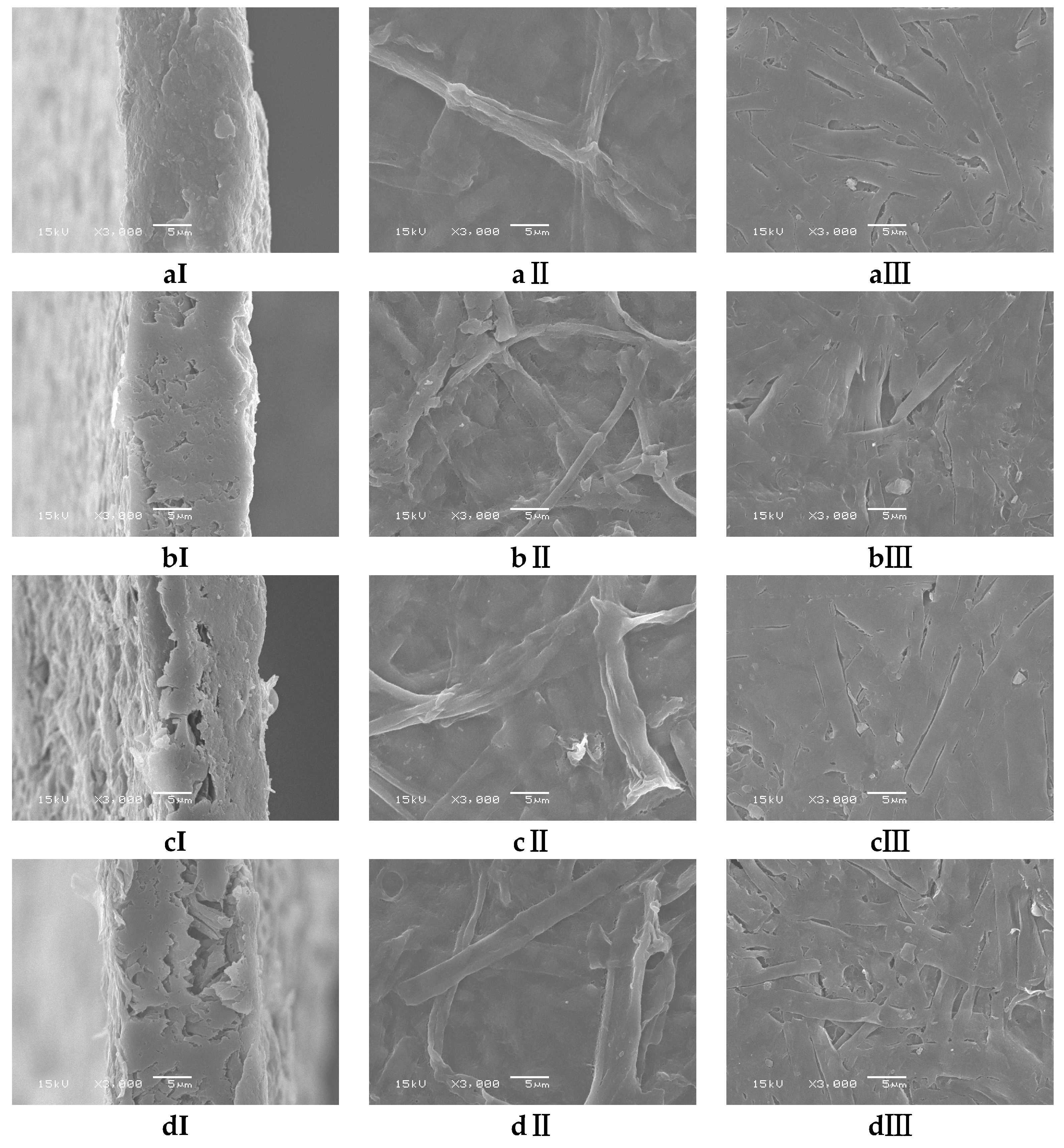 Polymers 15 04535 g002