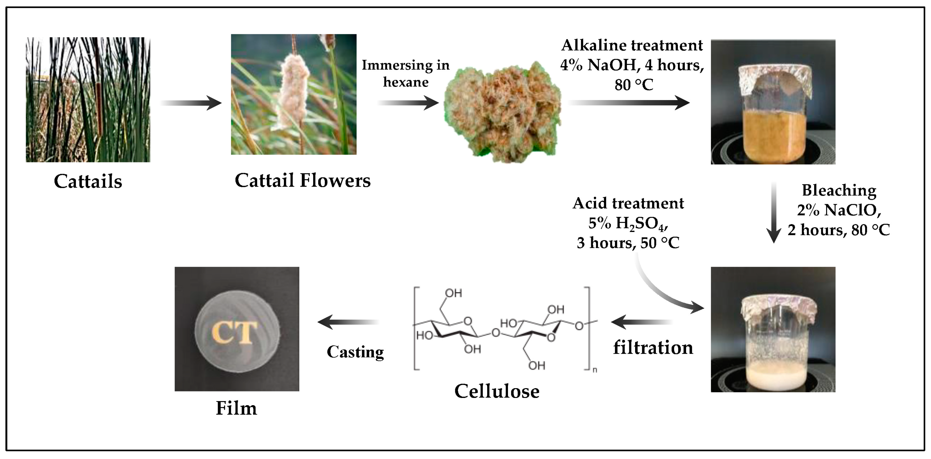 Polymers 15 04535 sch001