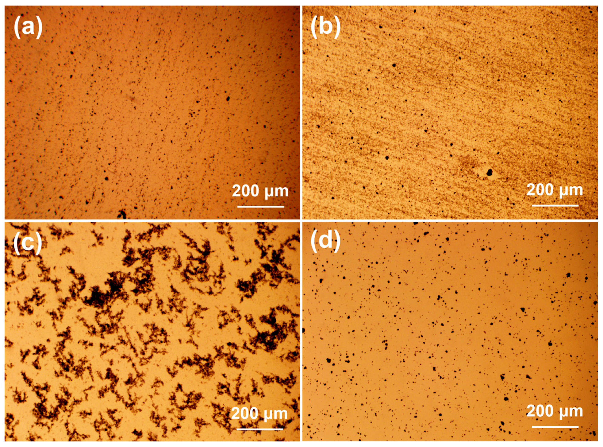 Polymers 15 04536 g002