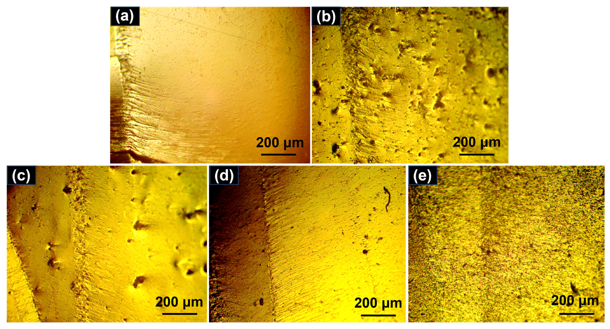 Polymers 15 04536 g008